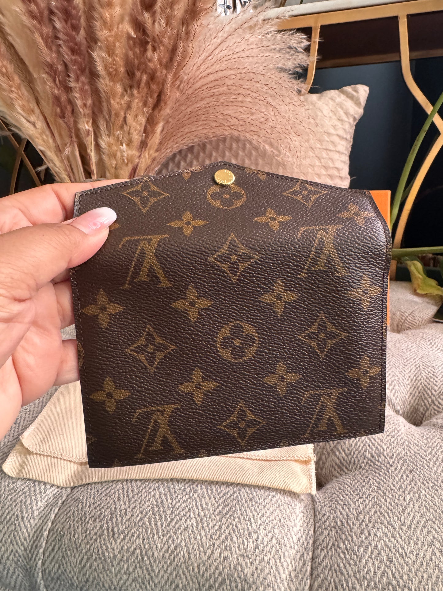 Louis Vuitton Envelope pouch/cardholder