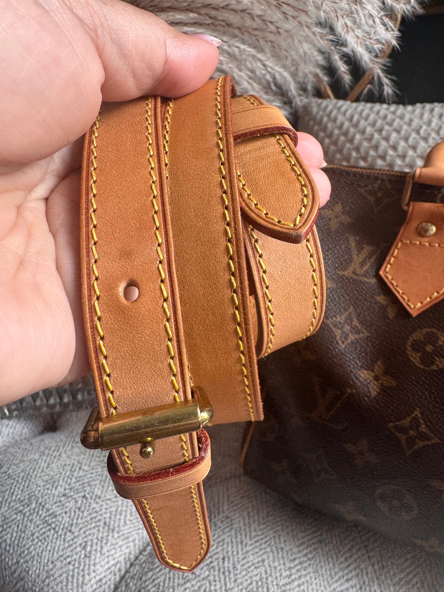Louis Vuitton Speedy B 25 in monogram