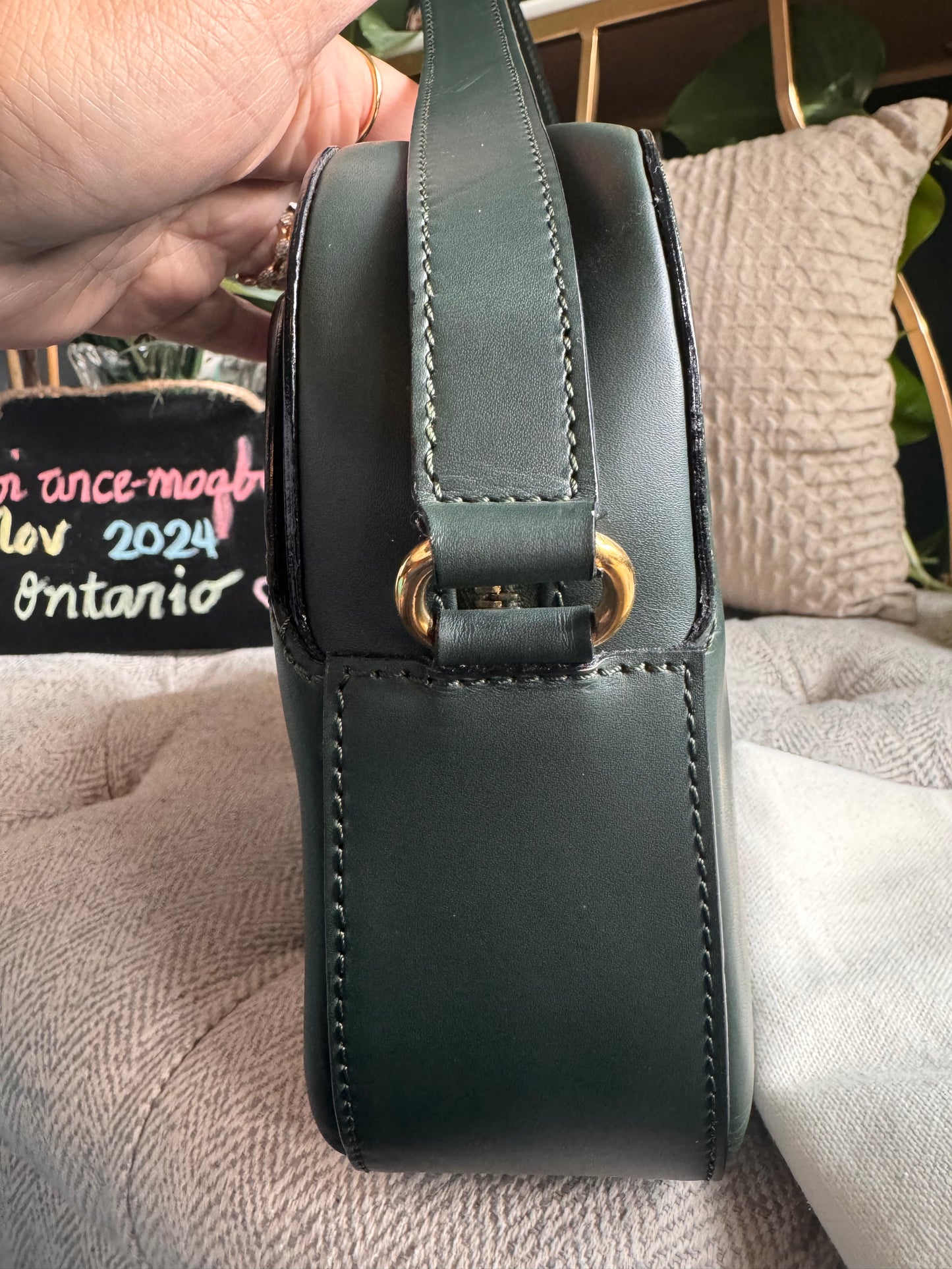Celine Vintage Camera Bag in Amazone