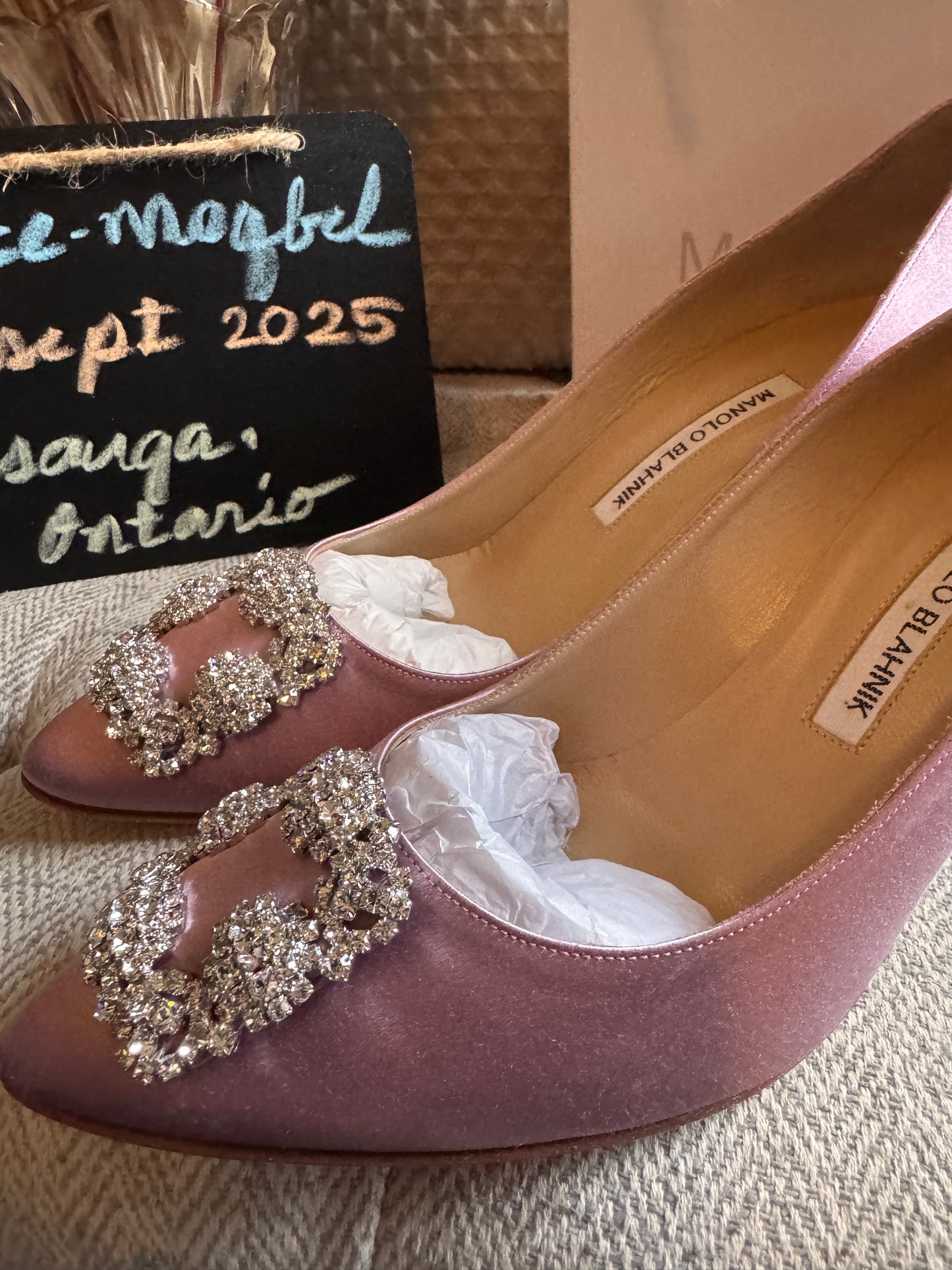 Manolo Blahnik Hangisi Pumps