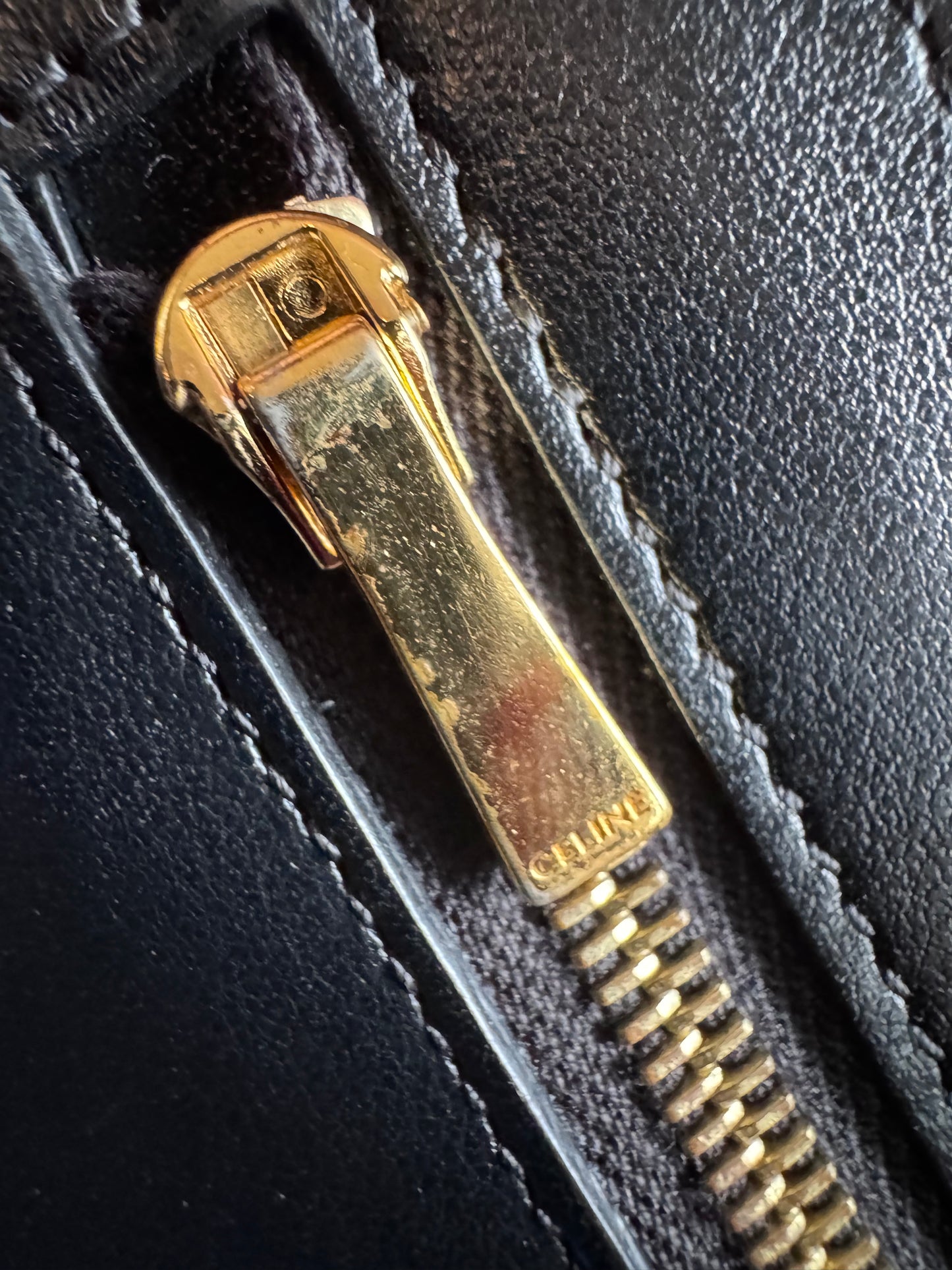 CELINE Large Wallet in Lizard Embossed Calfskin