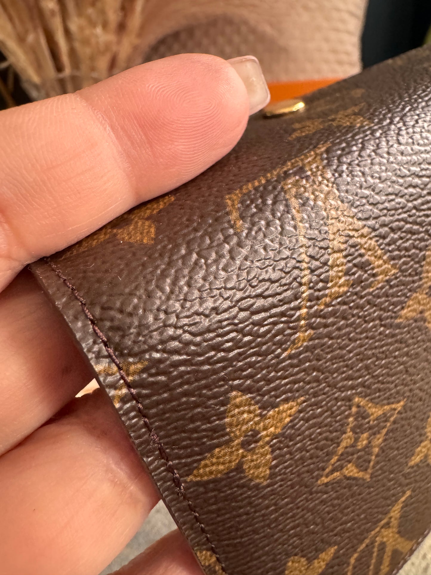 Louis Vuitton Envelope pouch/cardholder