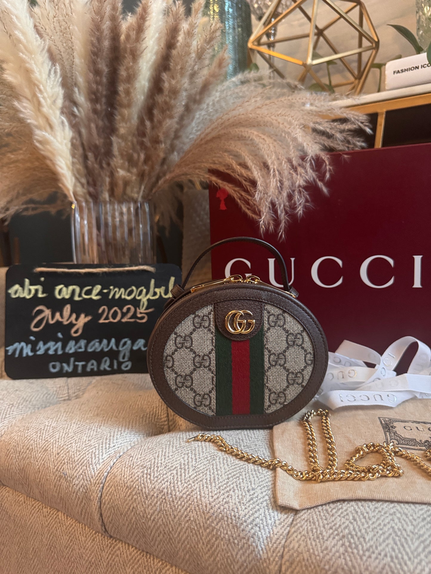Gucci Ophidia Mini Chain bag