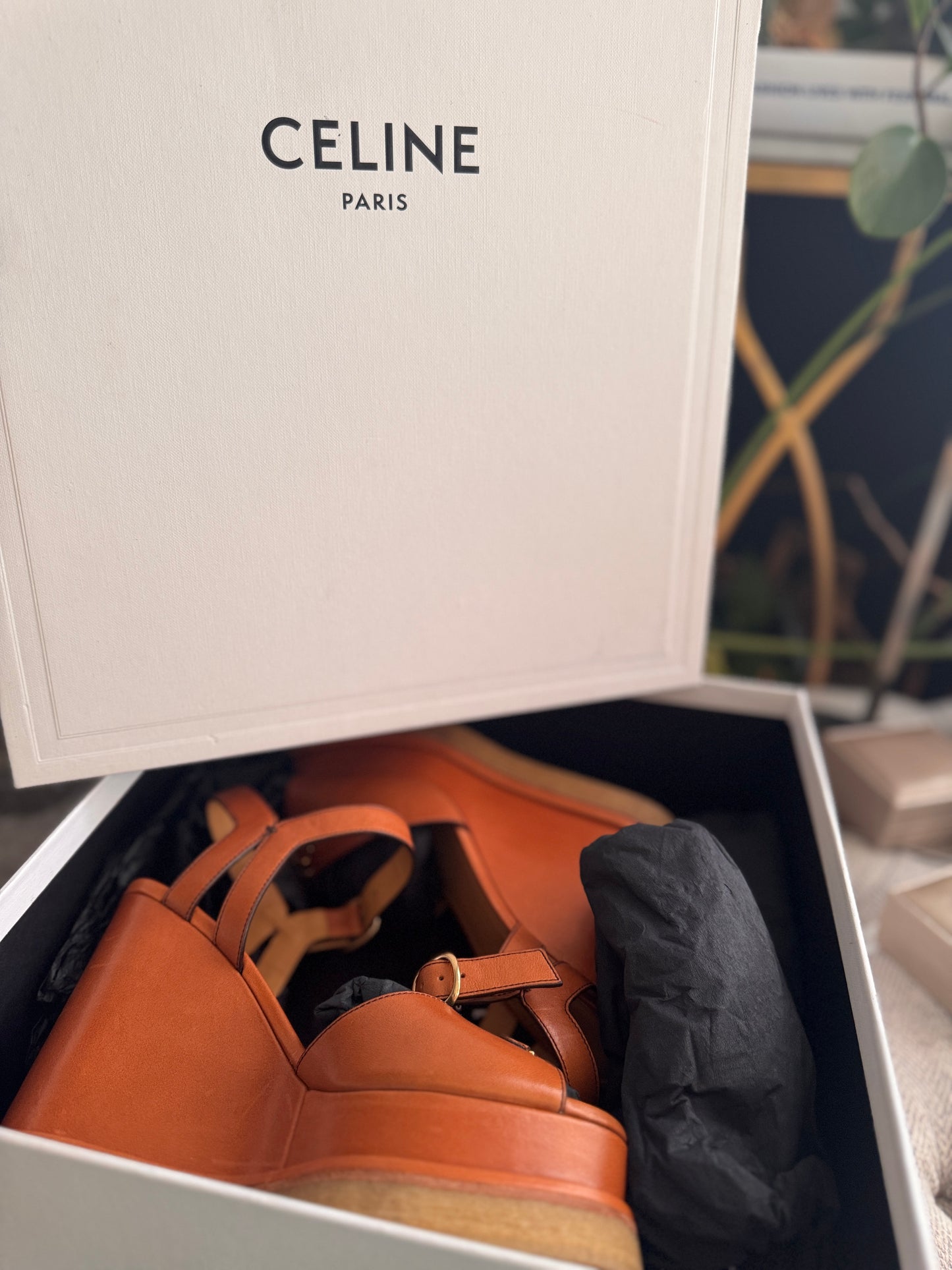 Celine Platform Leather Wedges