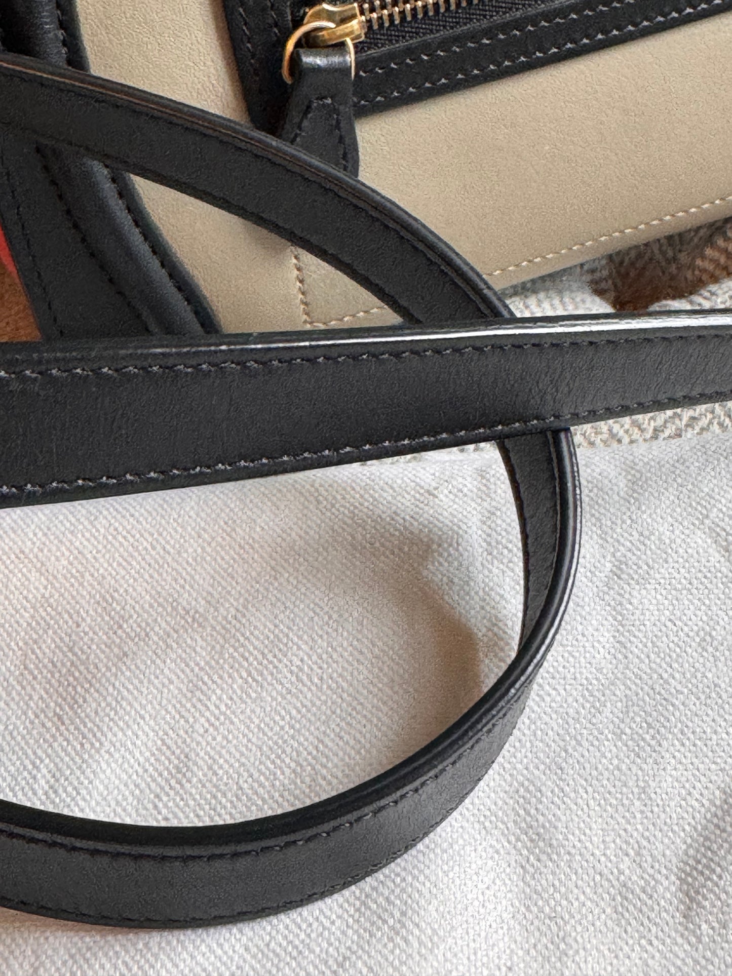 Celine Nano Luggage in TriColour