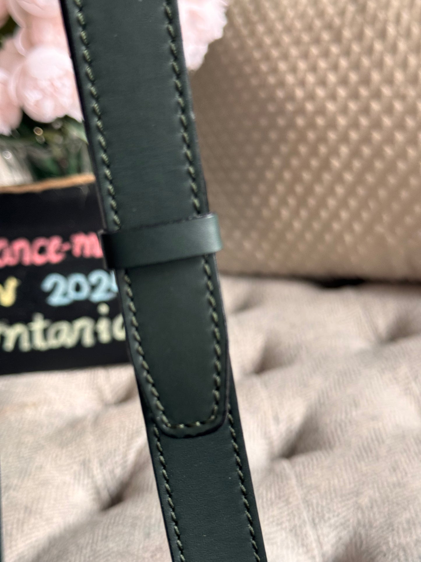Celine Vintage Camera Bag in Amazone