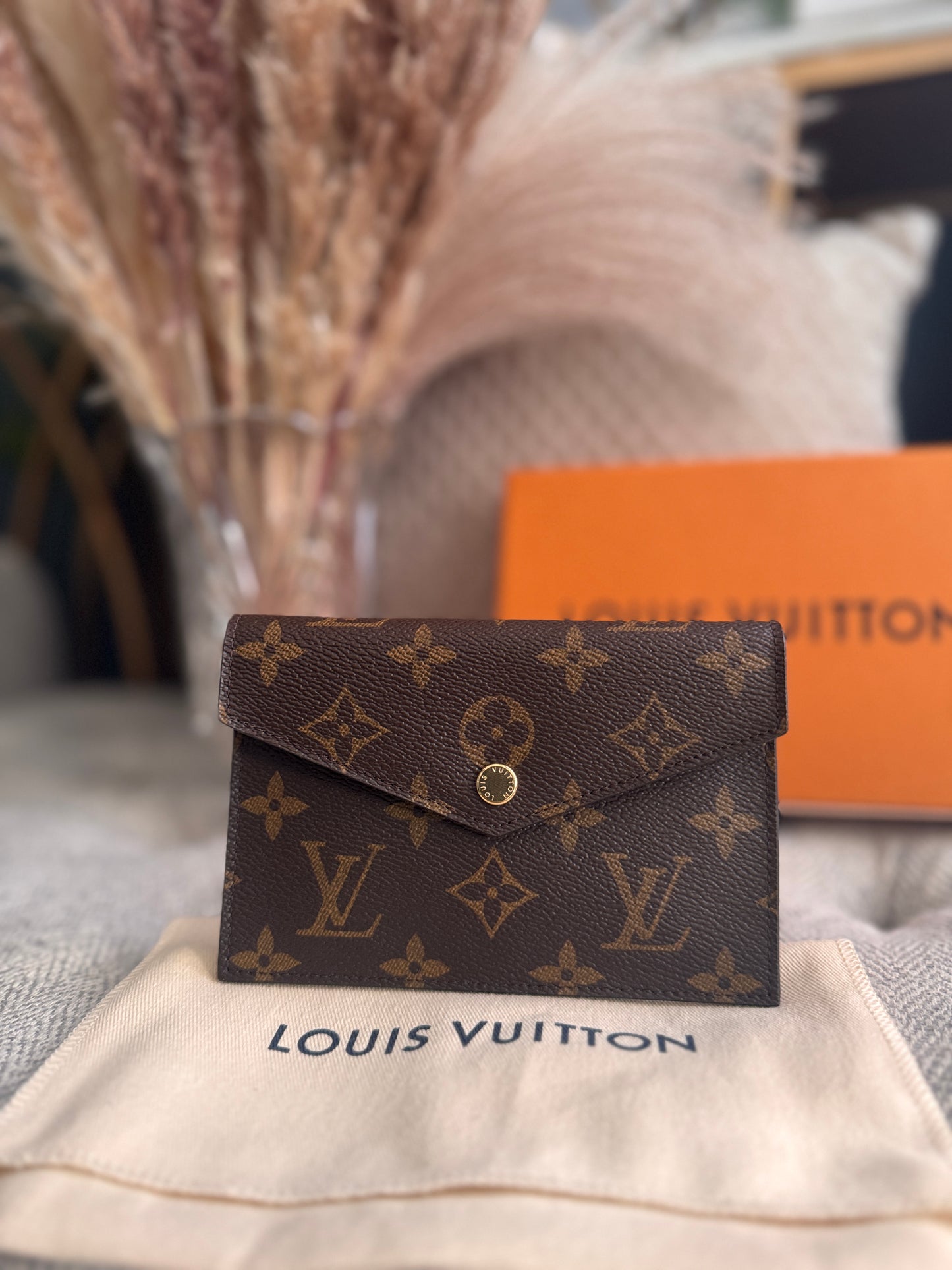 Louis Vuitton Envelope pouch/cardholder