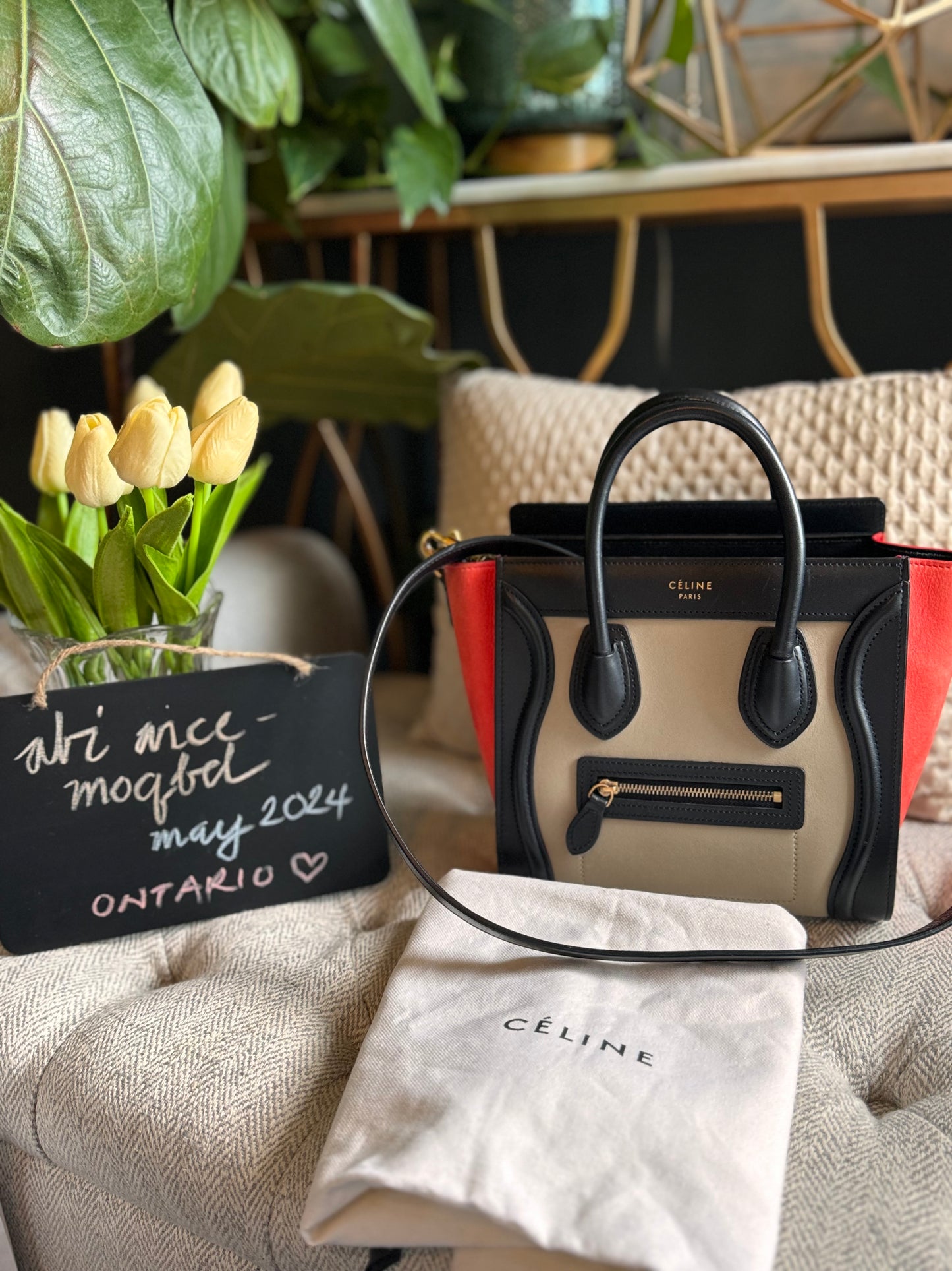 Celine Nano Luggage in TriColour