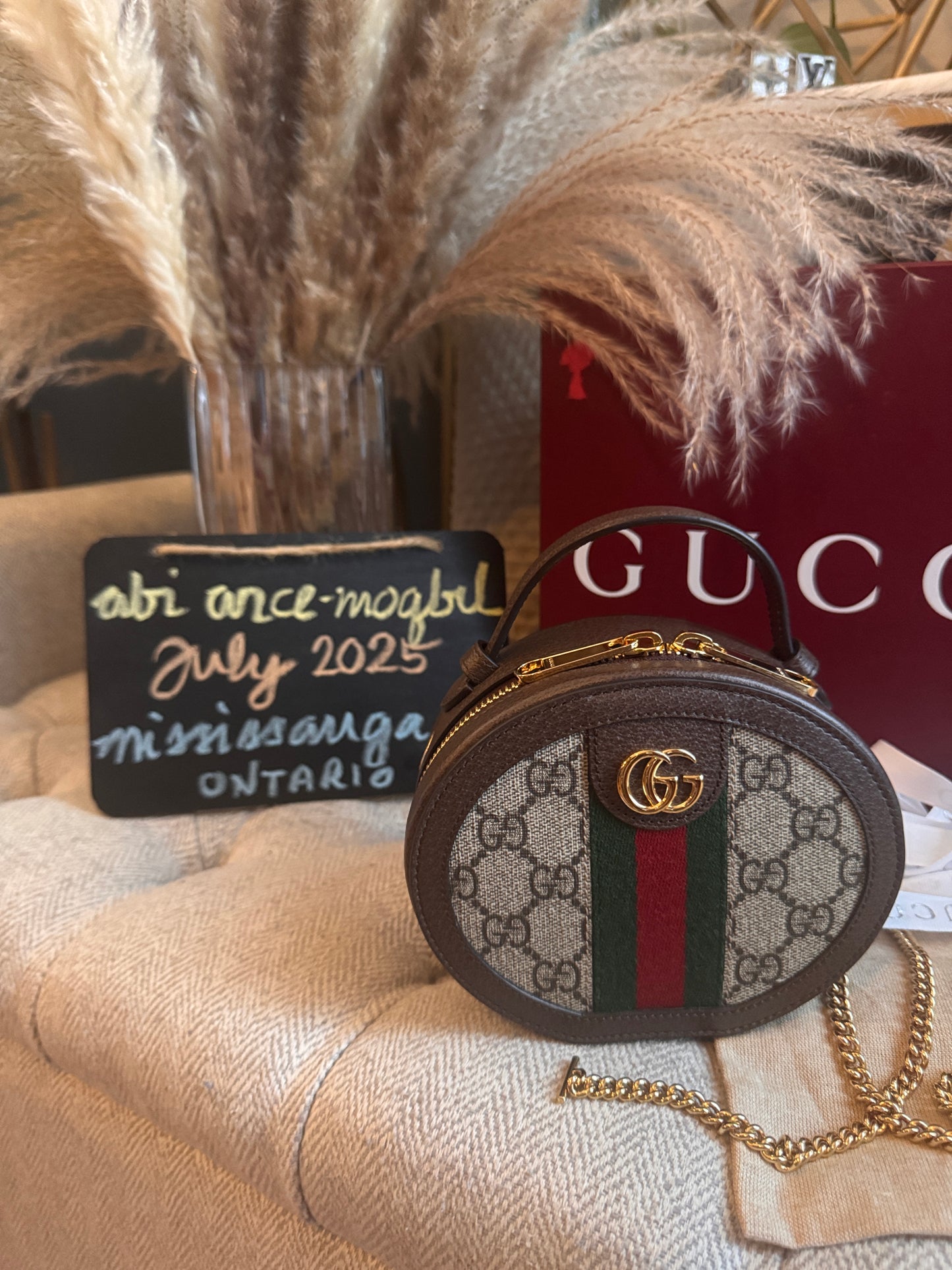 Gucci Ophidia Mini Chain bag