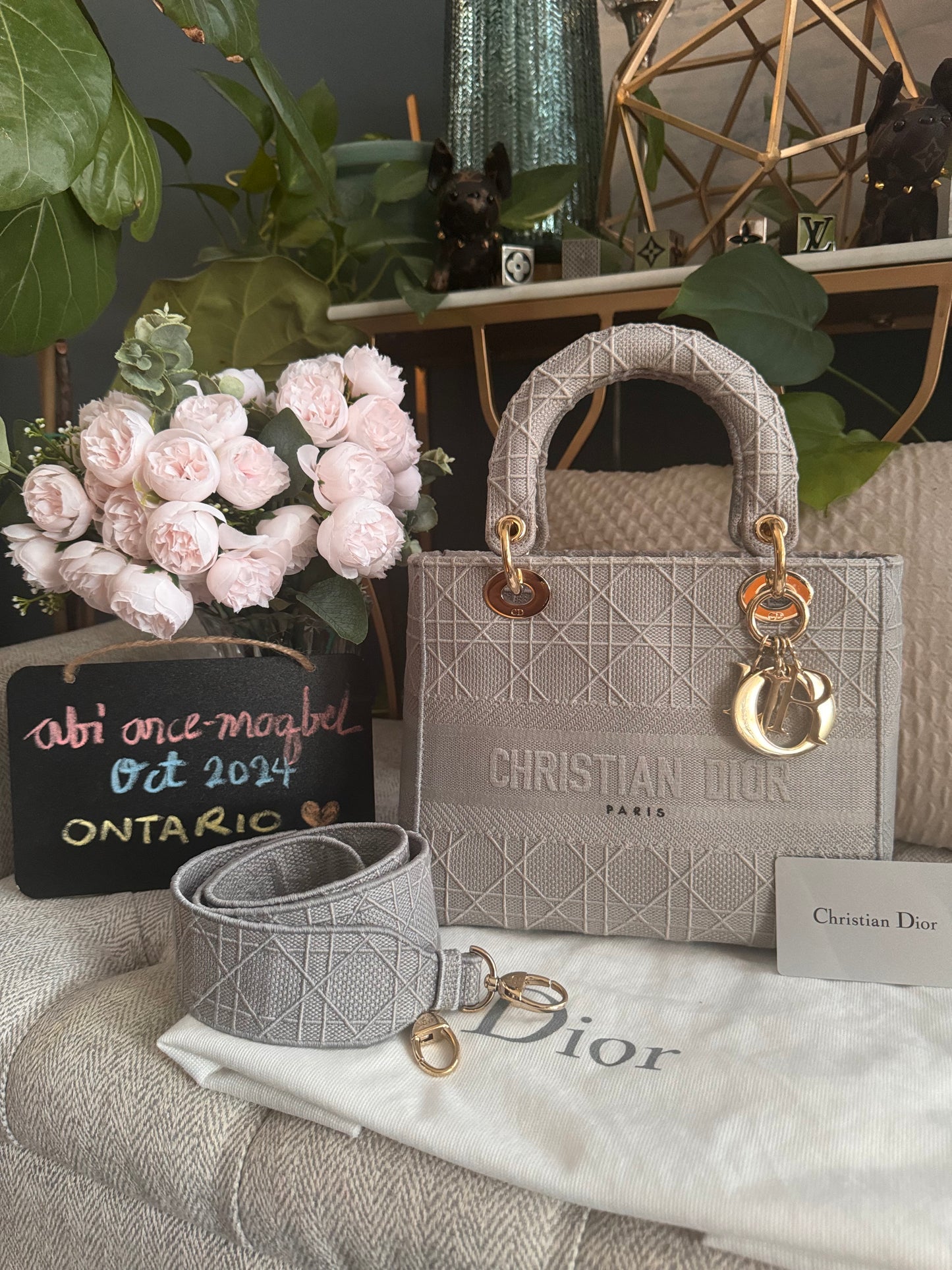 Christian Dior LADY D-LITE Medium Bag in Cool Grey Cannage Embroidery