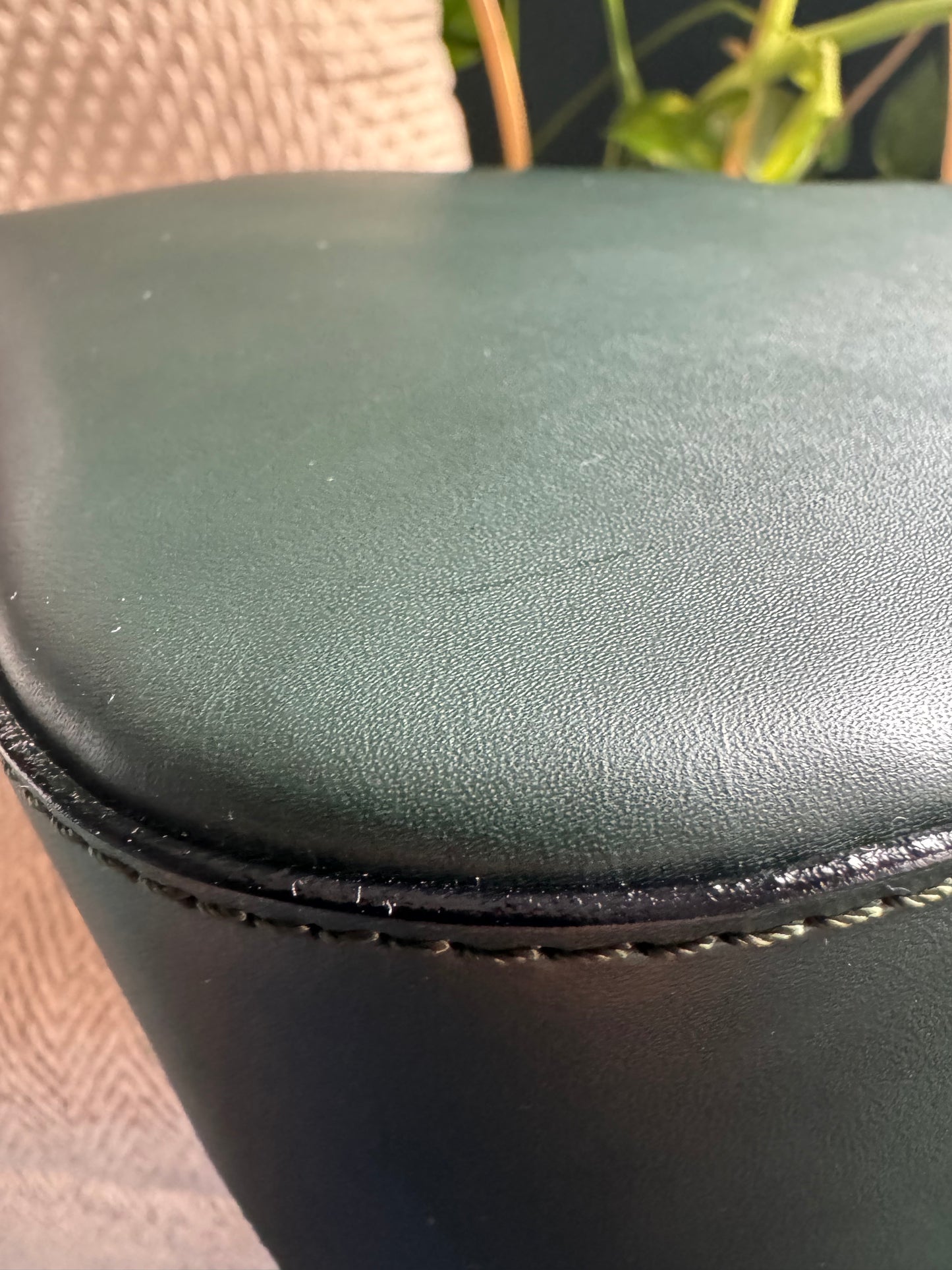 Celine Vintage Camera Bag in Amazone