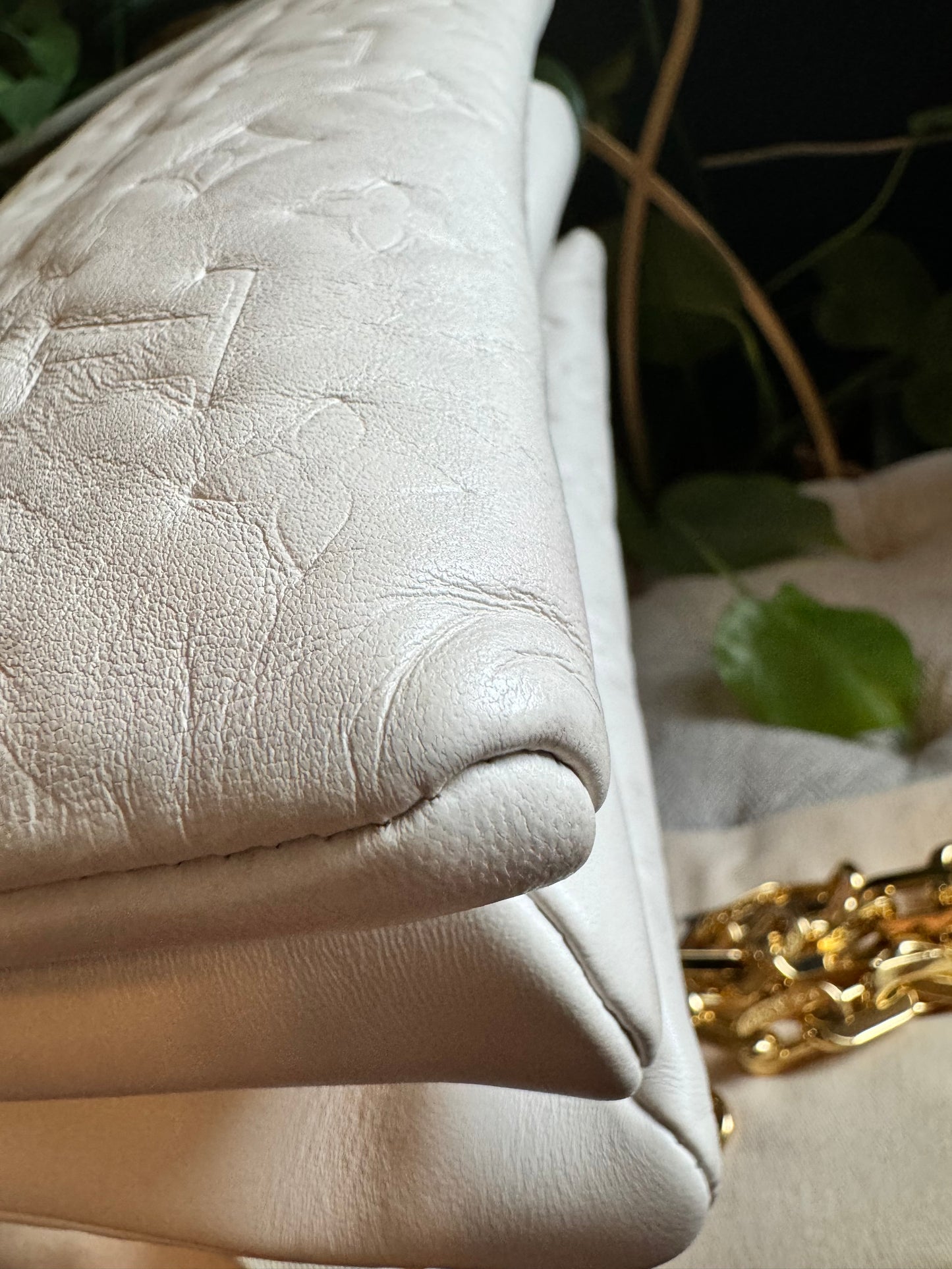 Louis Vuitton Coussin PM