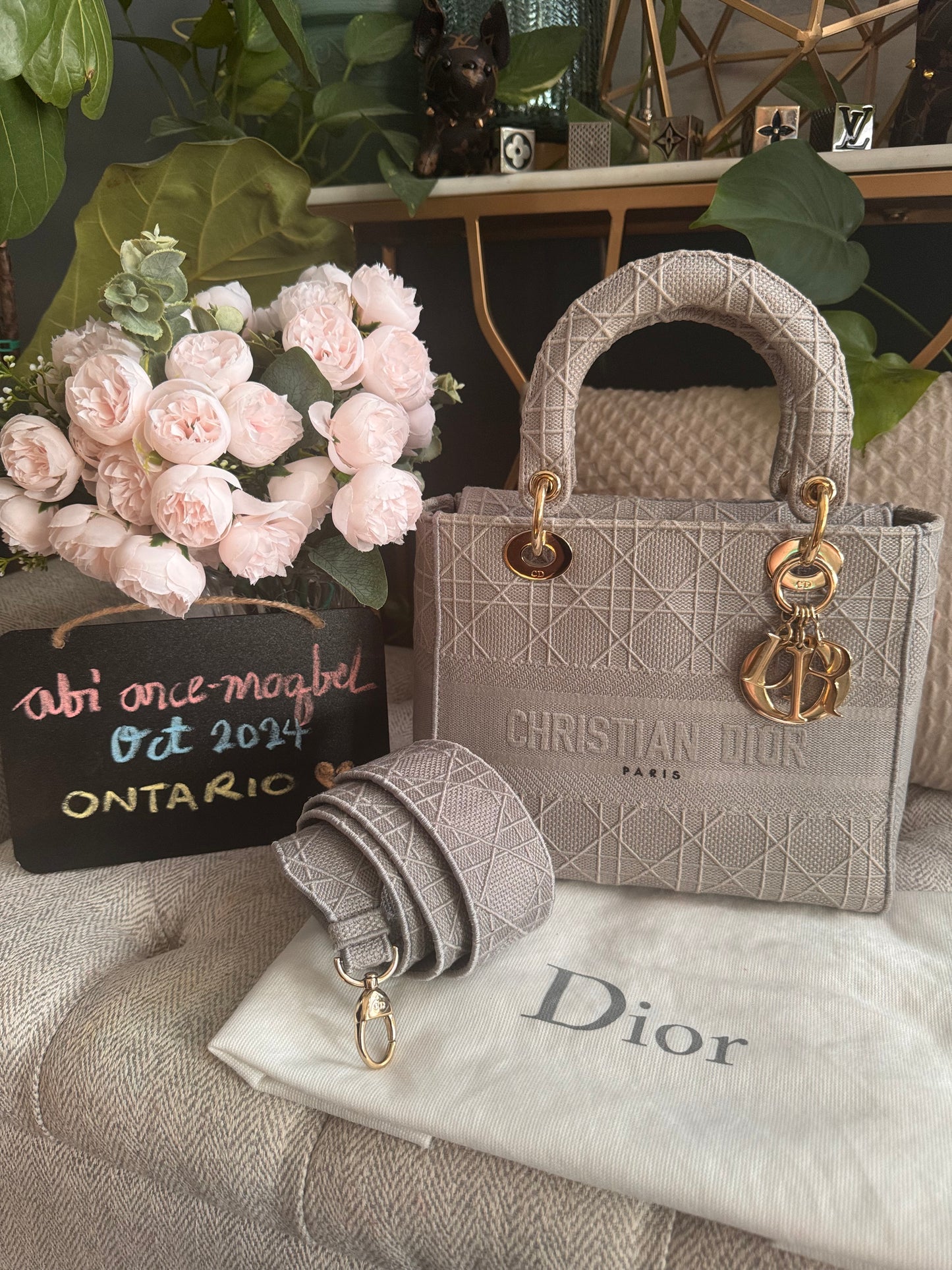 Christian Dior LADY D-LITE Medium Bag in Cool Grey Cannage Embroidery