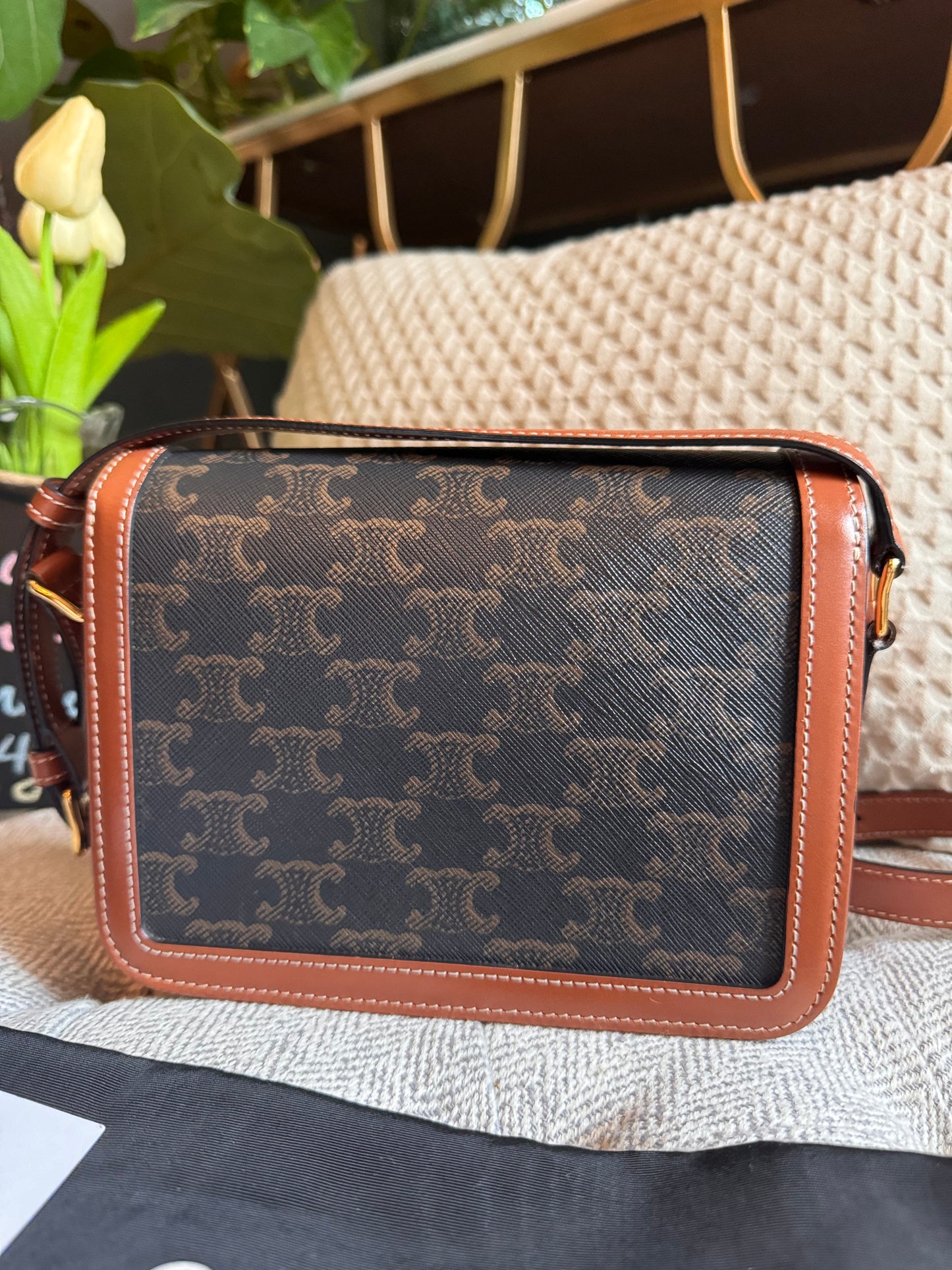 Celine Teen Triomphe