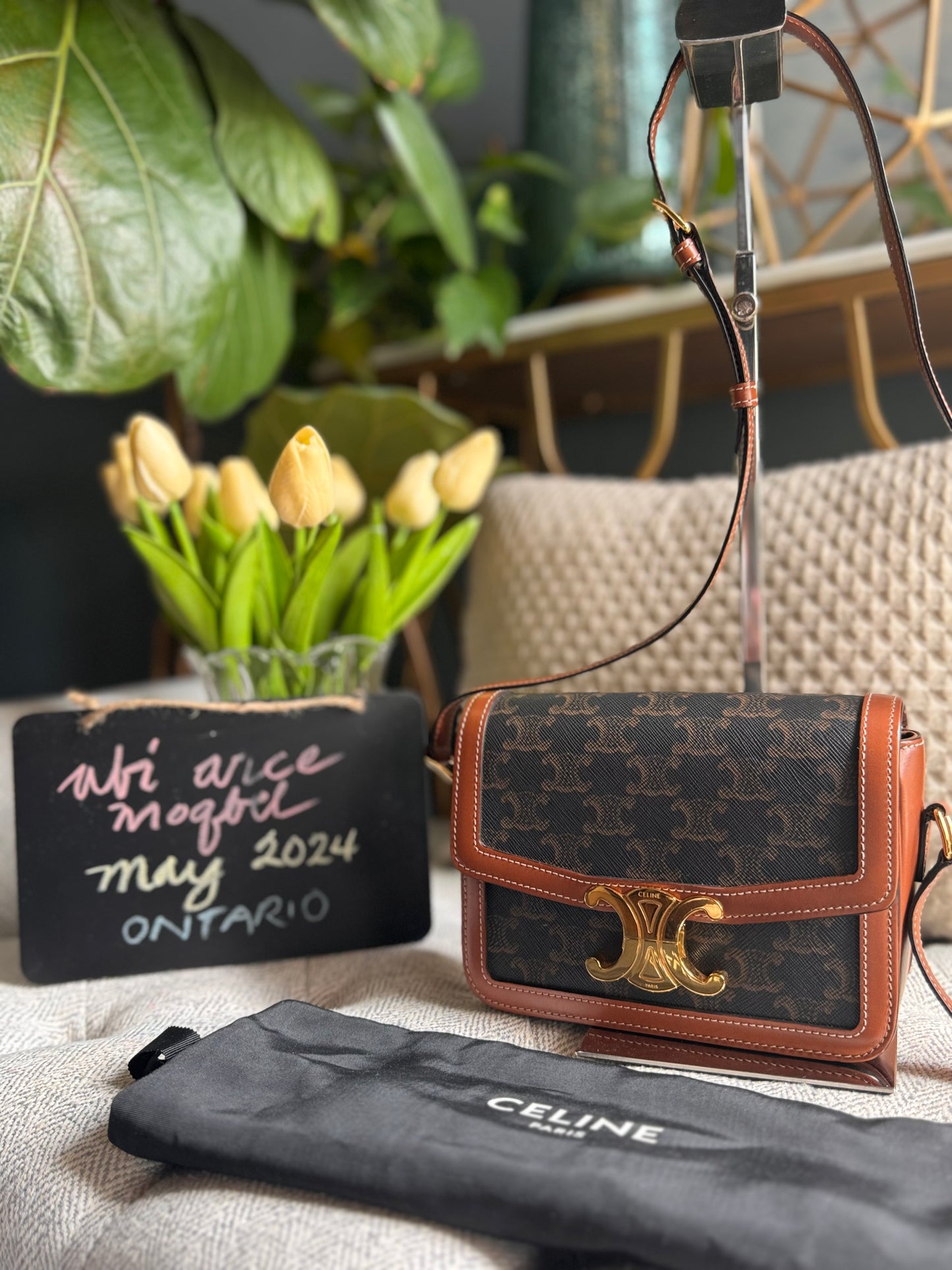Celine Teen Triomphe