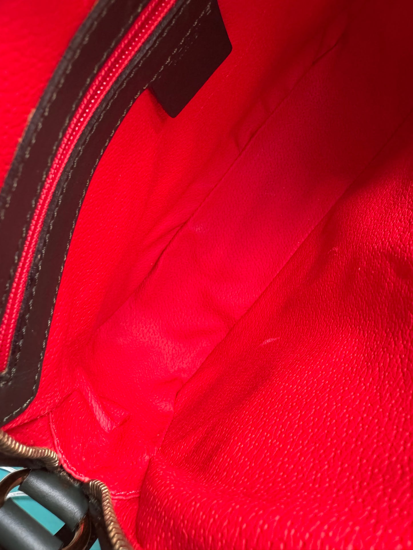 Celine Vintage Camera Bag in Amazone
