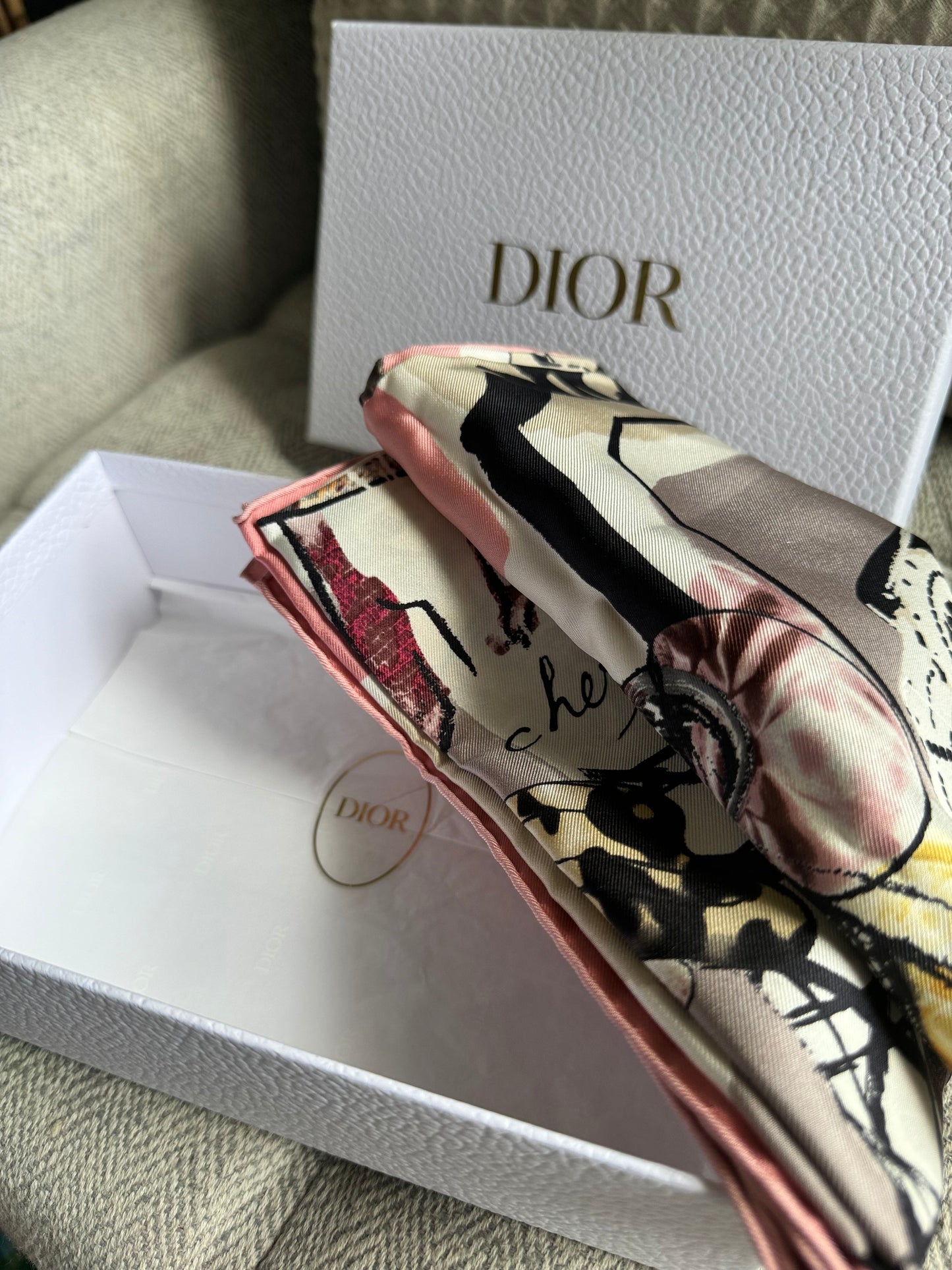 Dior Silk Scarf