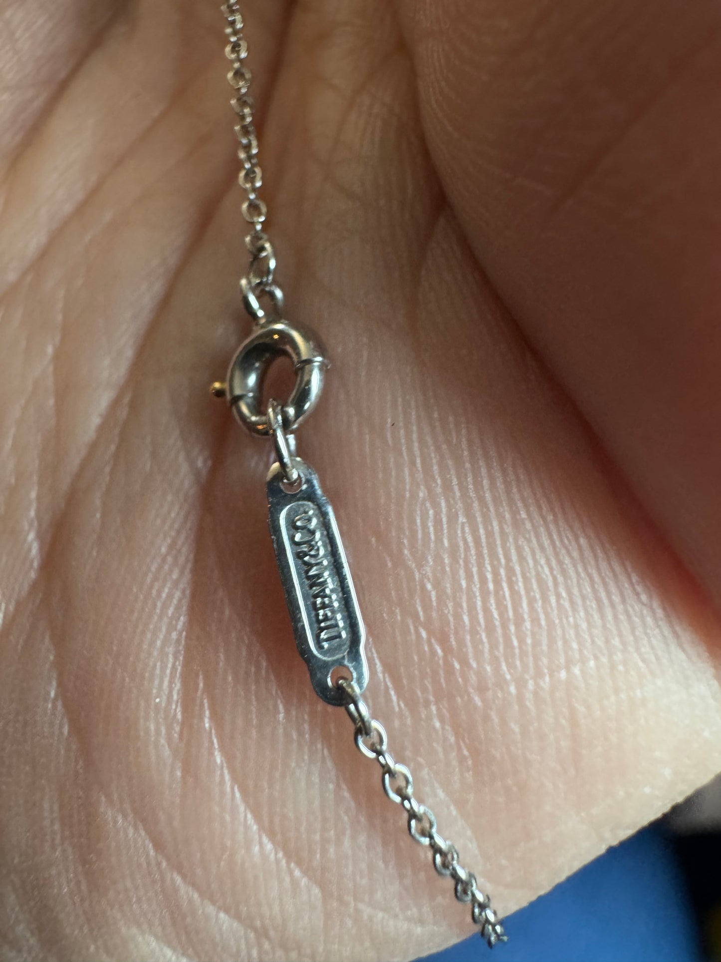 Tiffany&Co Platinum Solitaire Necklace