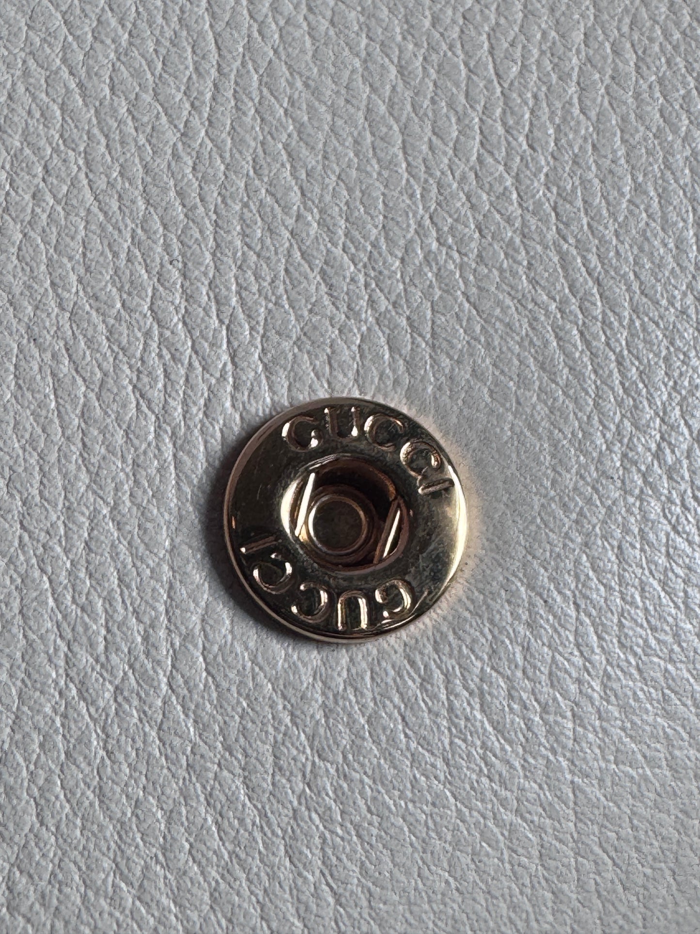Gucci Blondie Wallet on Chain