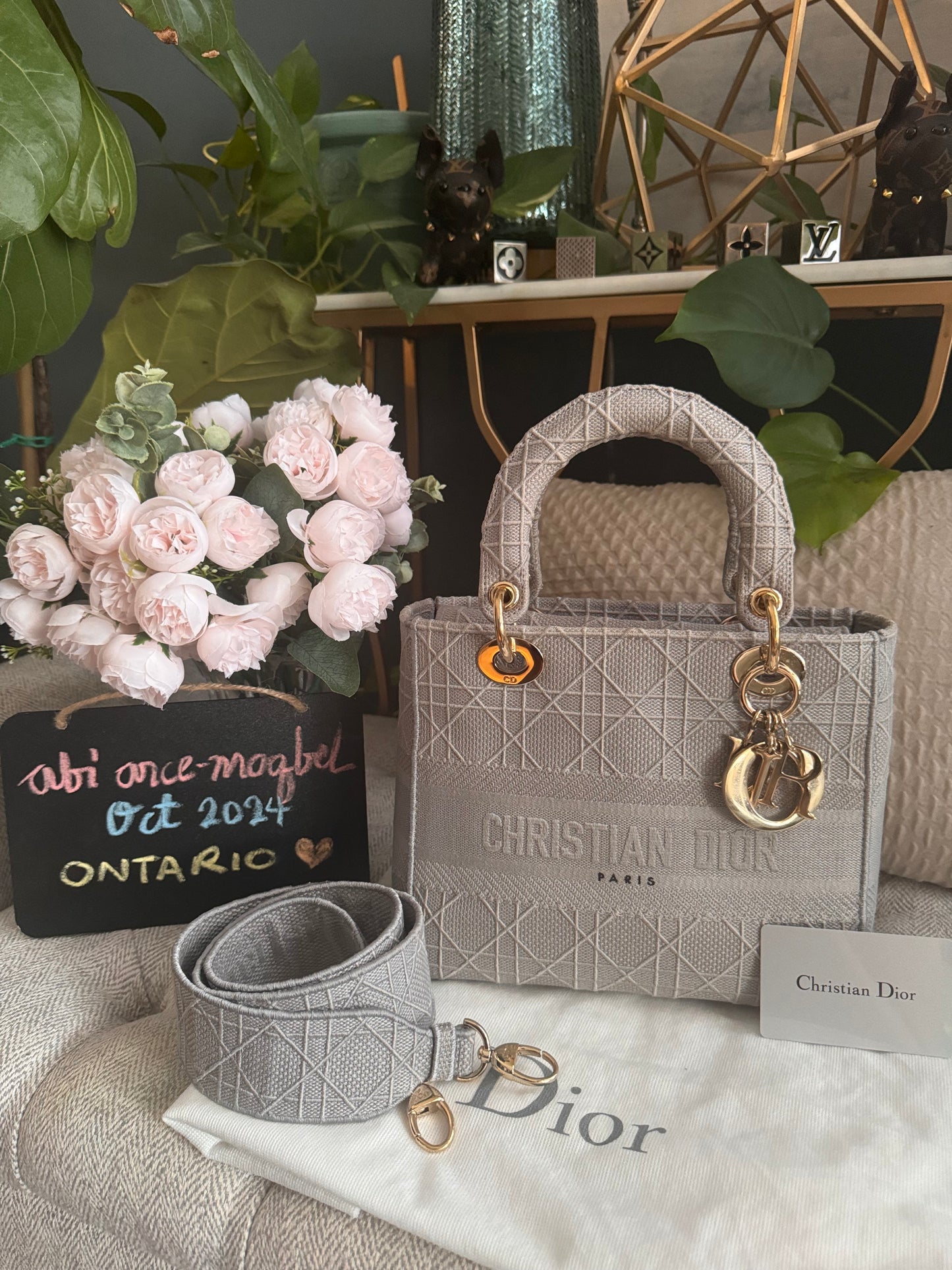 Christian Dior LADY D-LITE Medium Bag in Cool Grey Cannage Embroidery