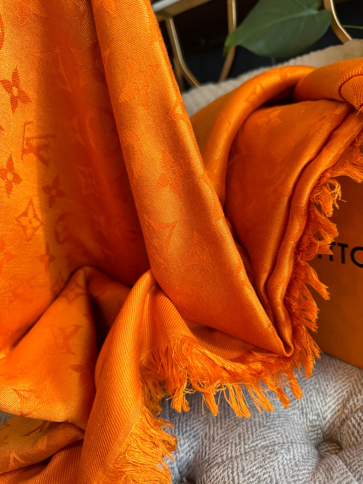 Louis Vuitton Monogram Stole