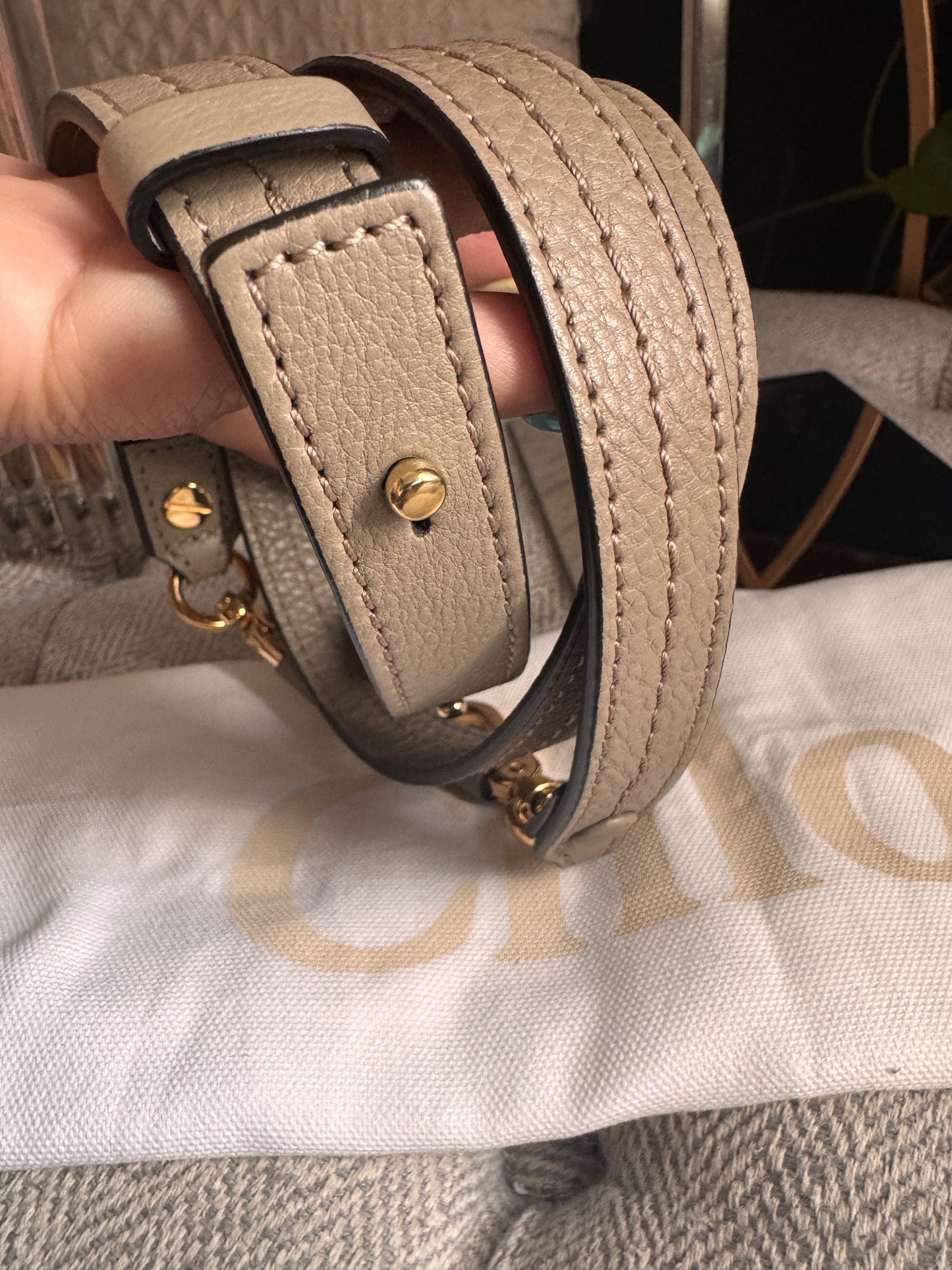 Chloe Mini Faye Crossbody is