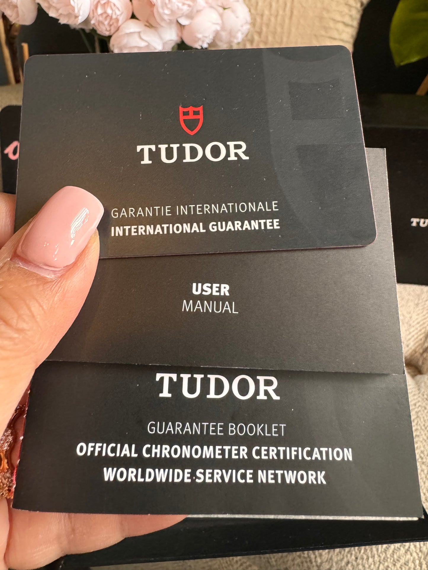 Tudor Black Bay 41mm