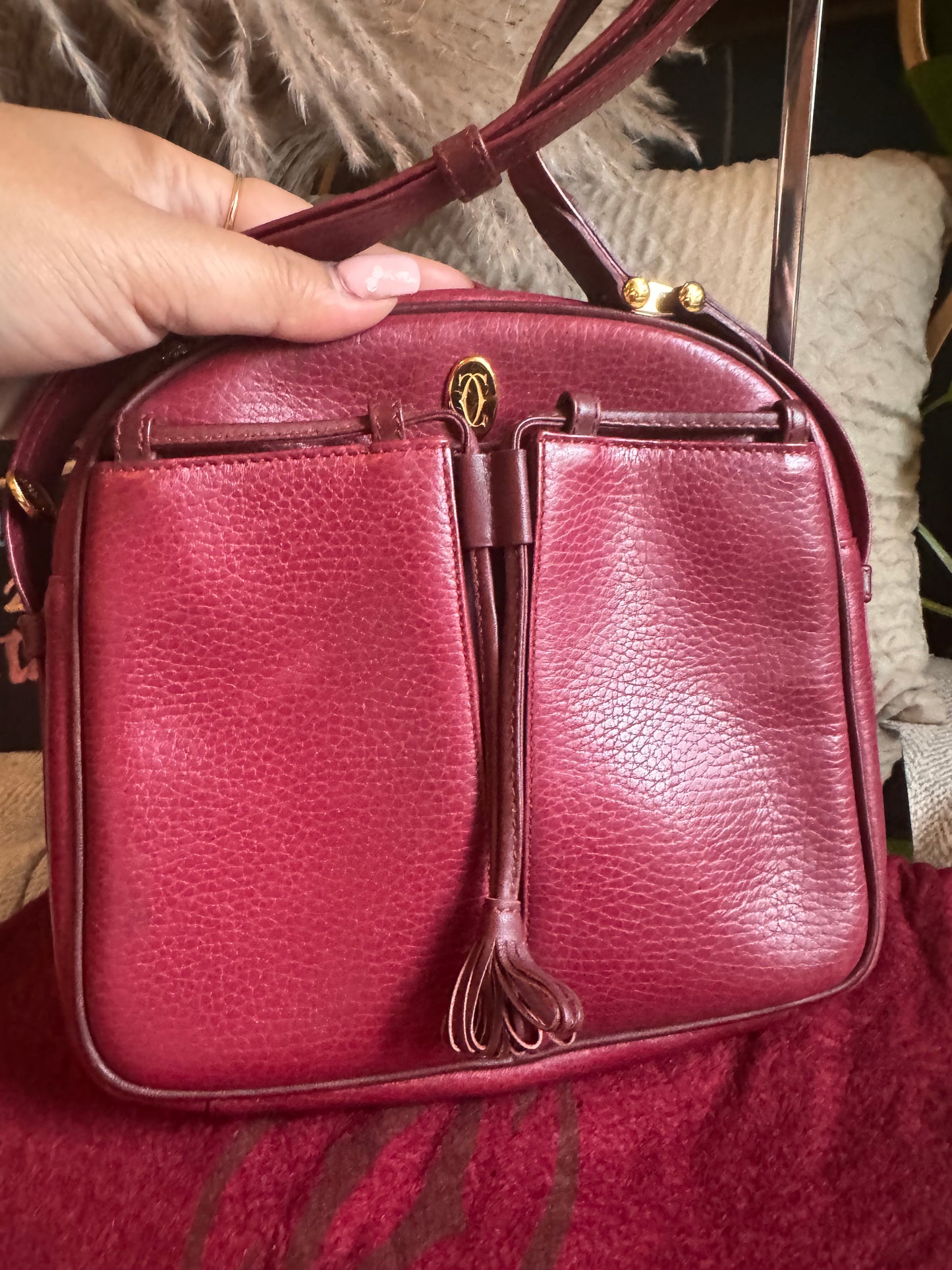 Cartier Vintage Camera Bag