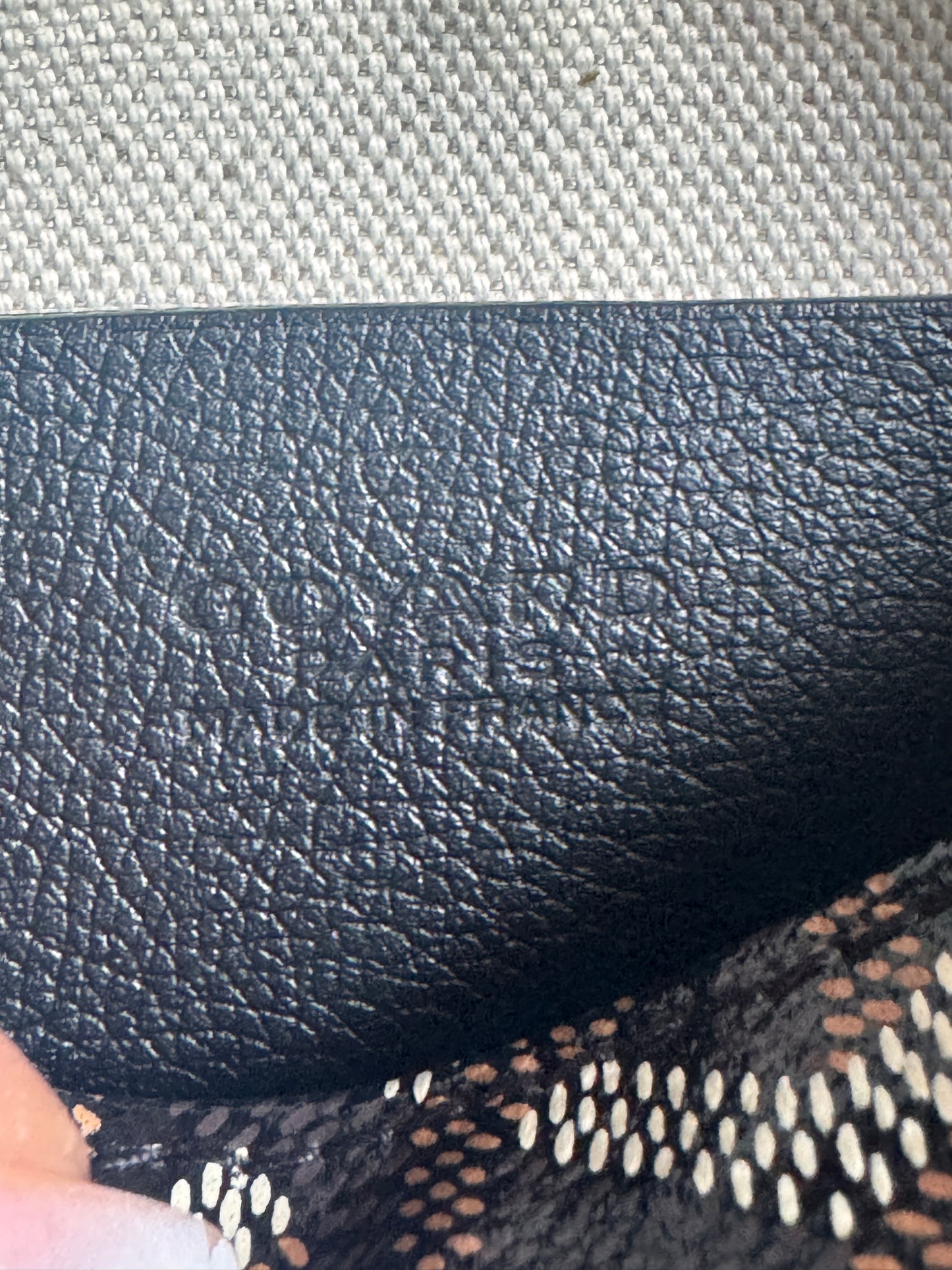 Goyard Plumet in Black