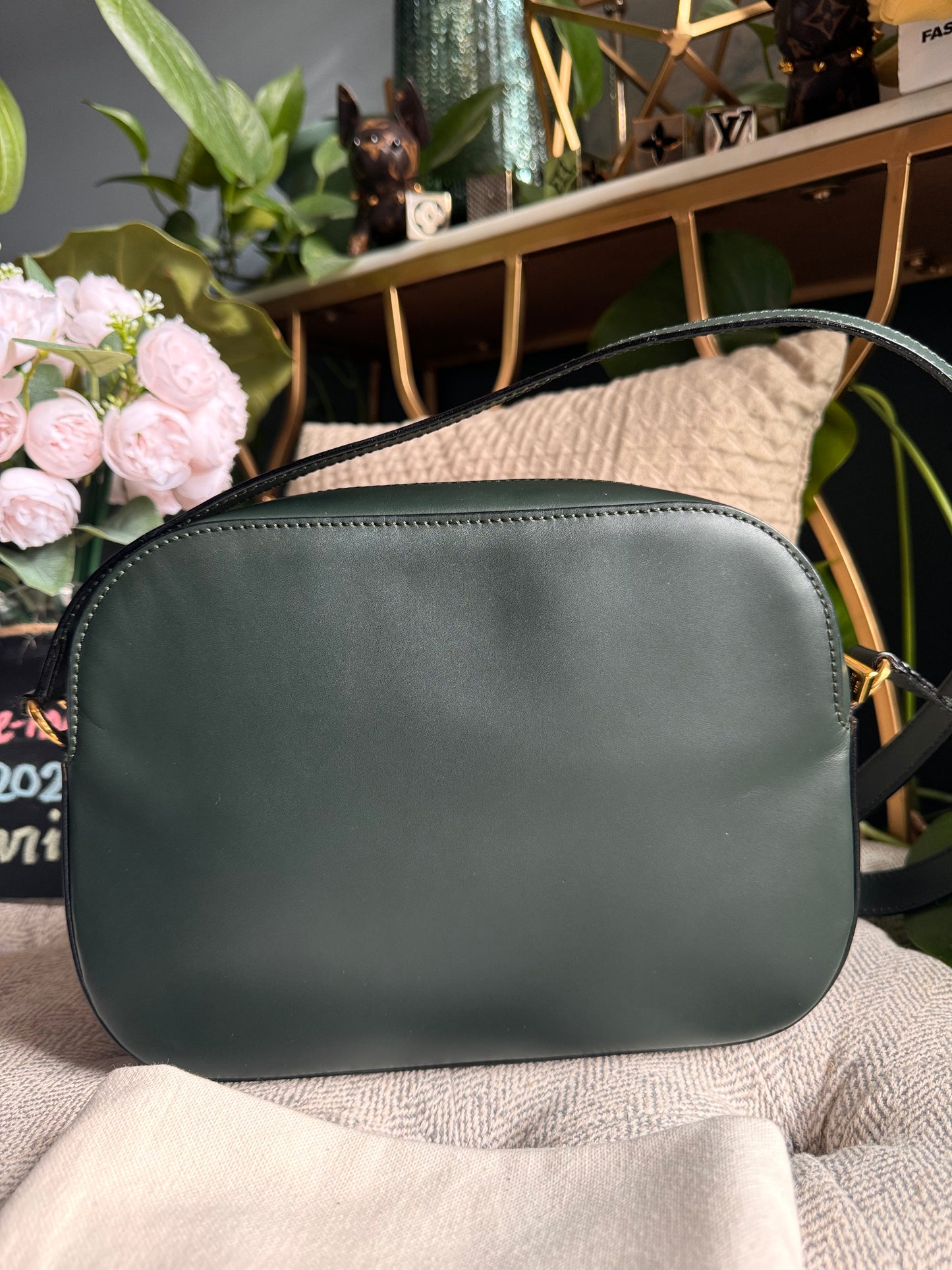 Celine Vintage Camera Bag in Amazone
