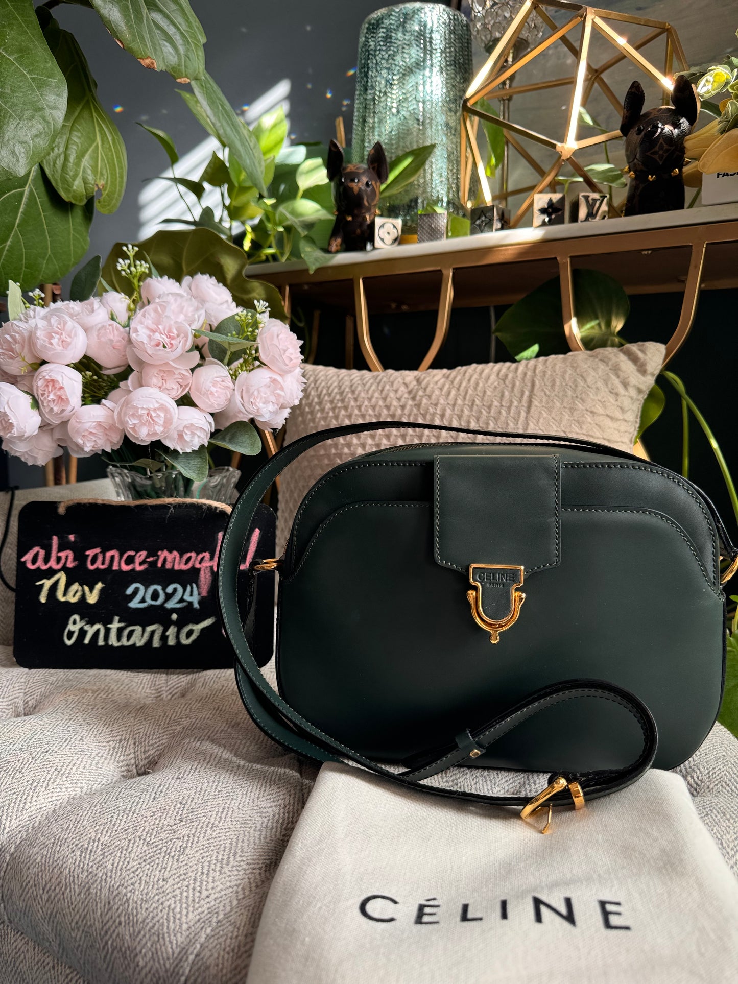 Celine Vintage Camera Bag in Amazone