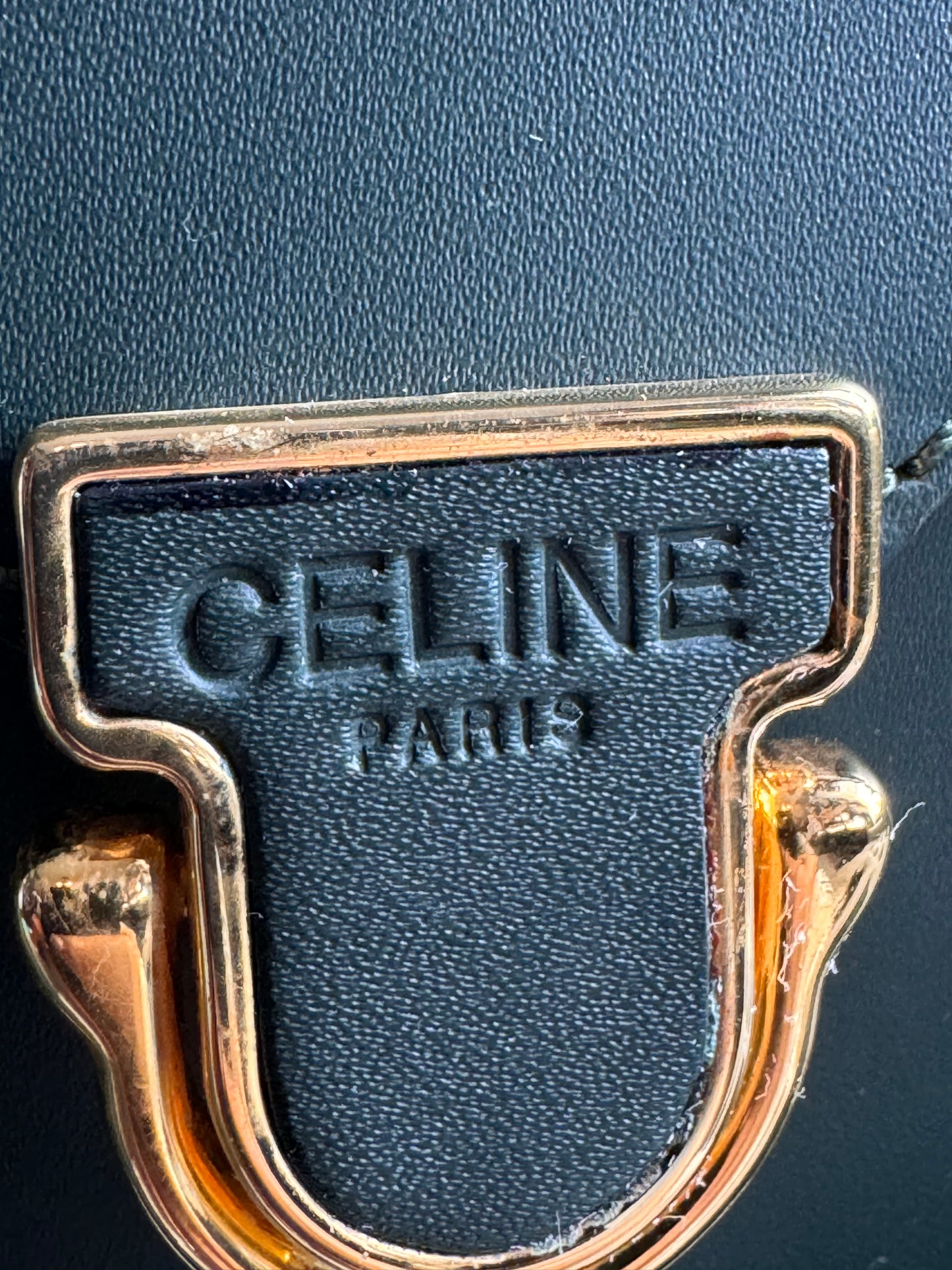 Celine Vintage Camera Bag in Amazone