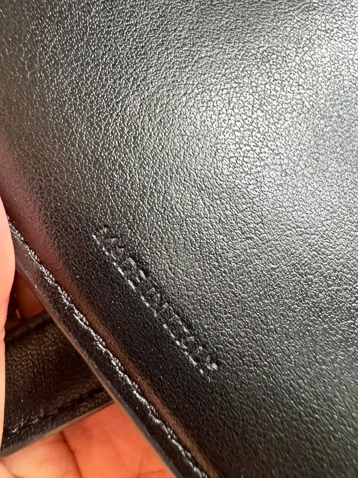 CELINE Large Wallet in Lizard Embossed Calfskin
