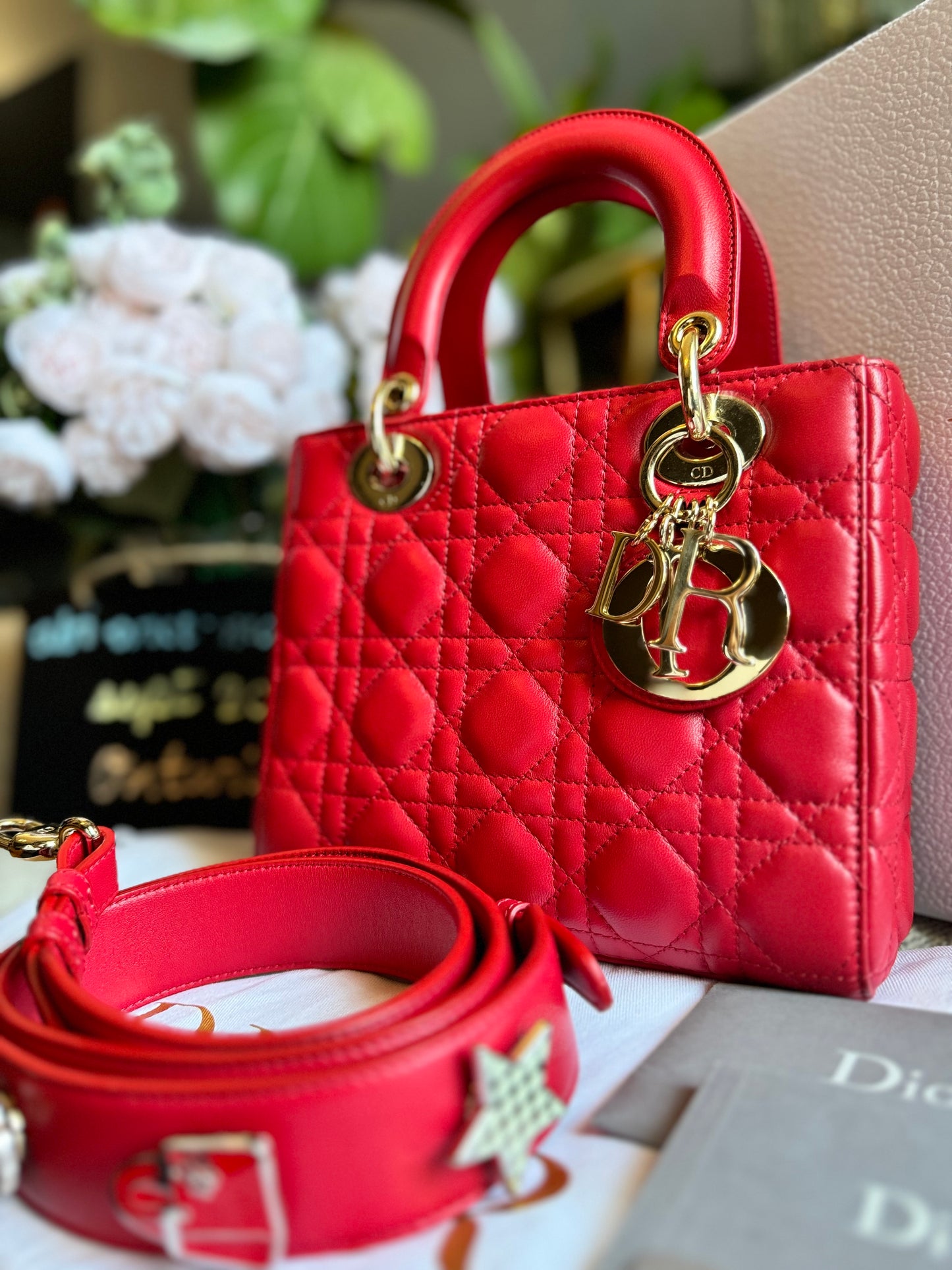 Dior Small Lady Dior My ABC bag