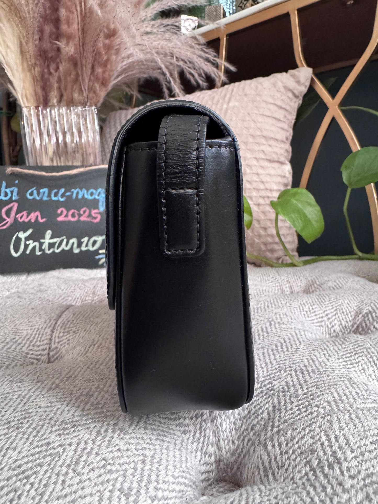 Celine Triomphe 16cm