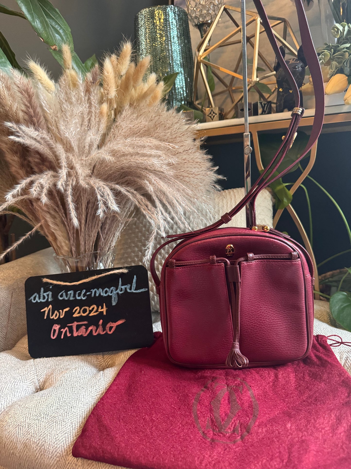 Cartier Vintage Camera Bag