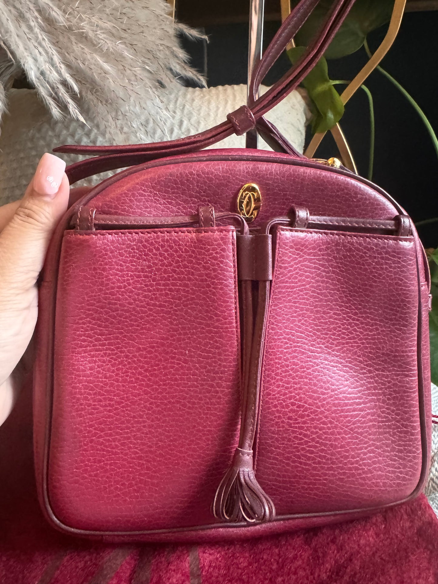 Cartier Vintage Camera Bag