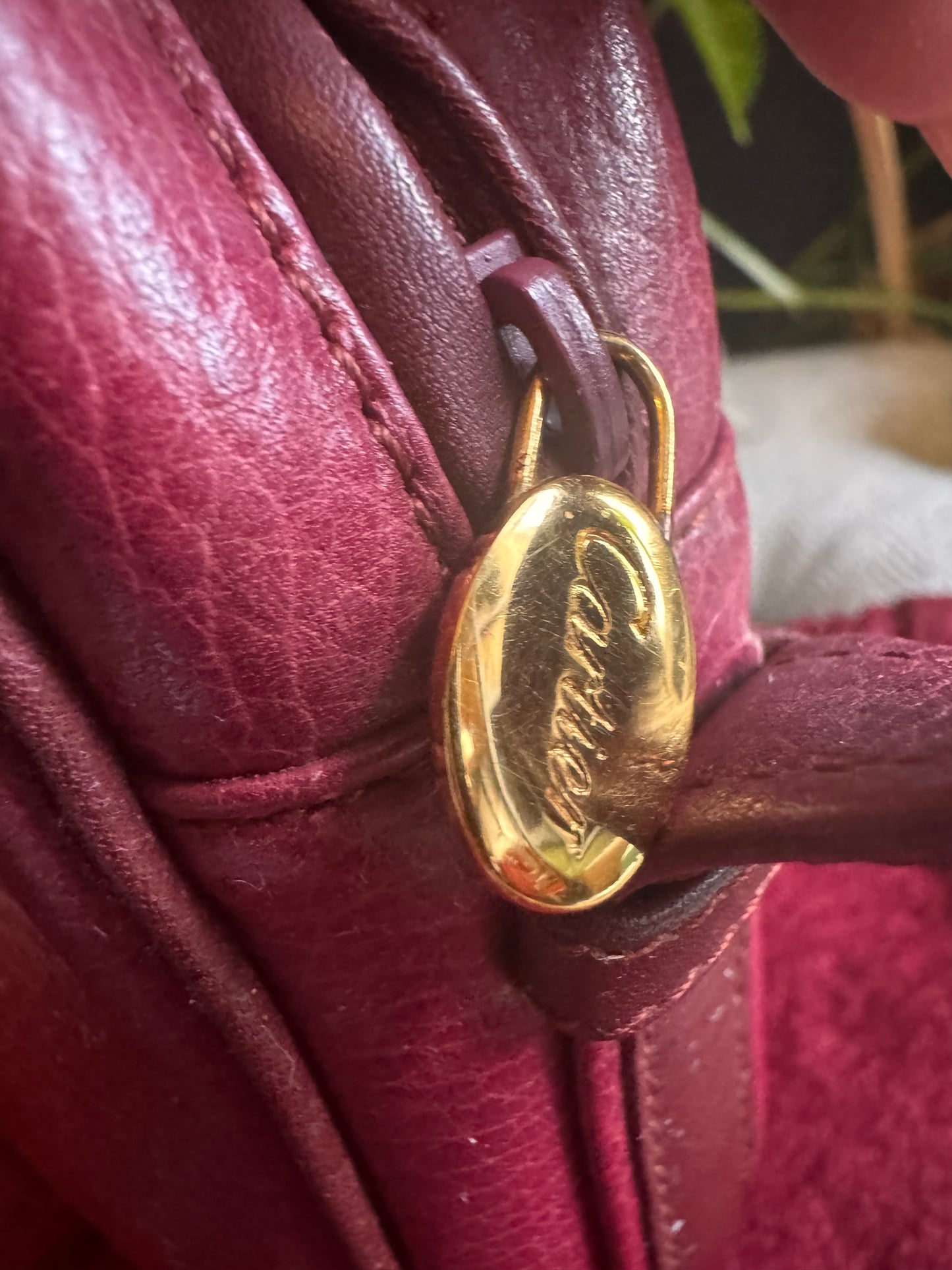 Cartier Vintage Camera Bag