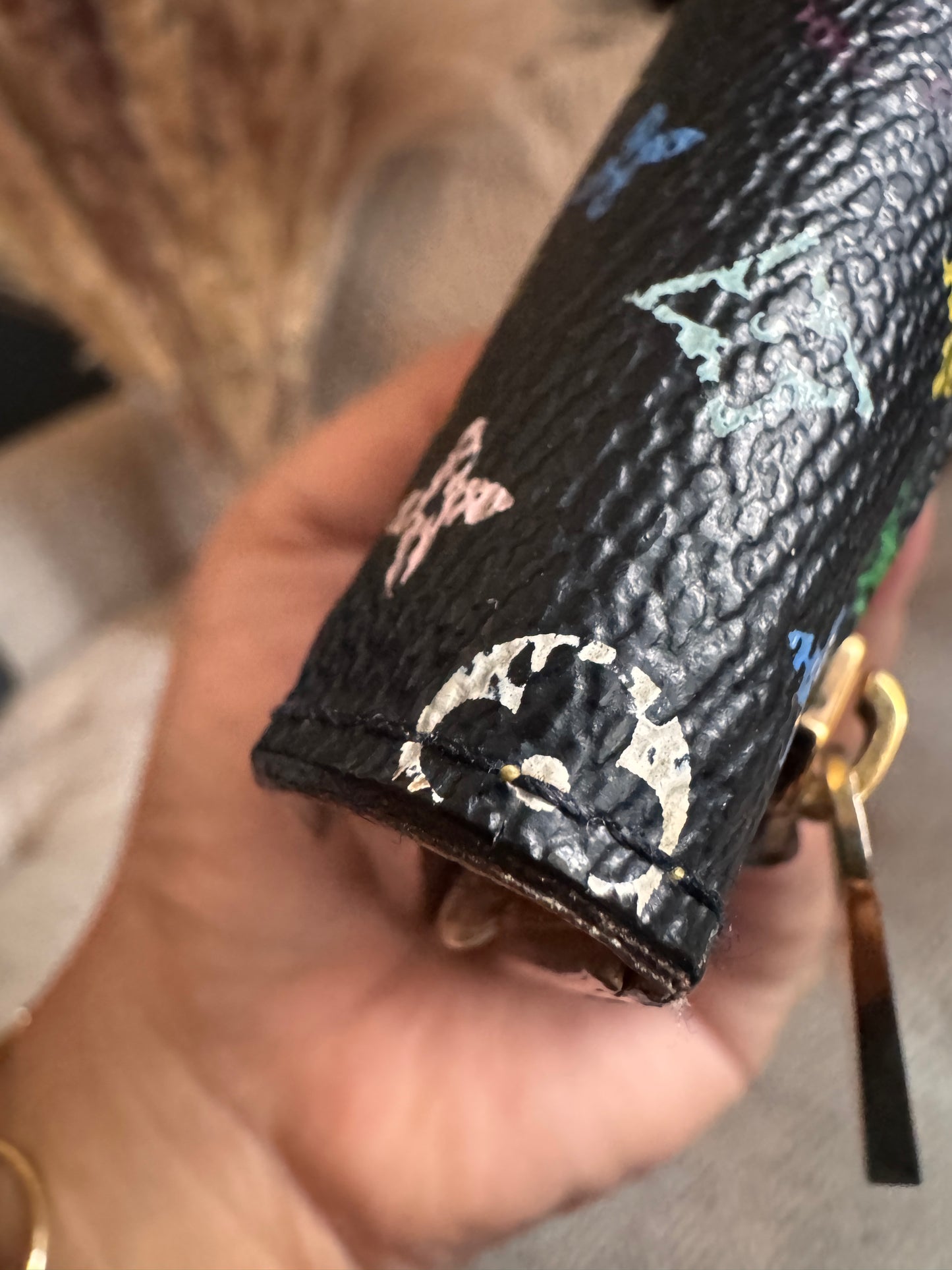 Louis Vuitton Multicolor Compact Wallet