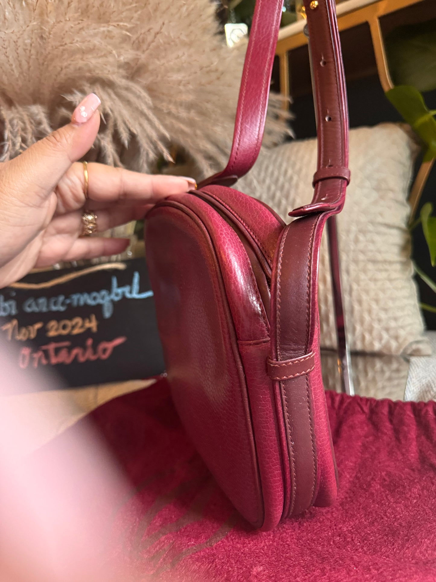 Cartier Vintage Camera Bag