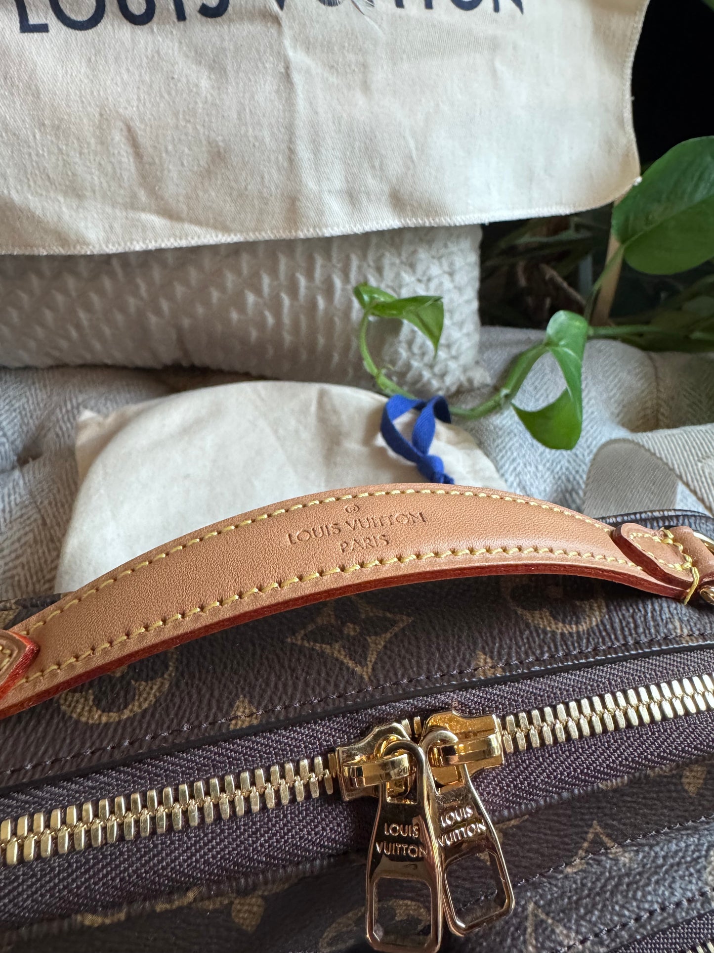 Louis Vuitton Utility bag