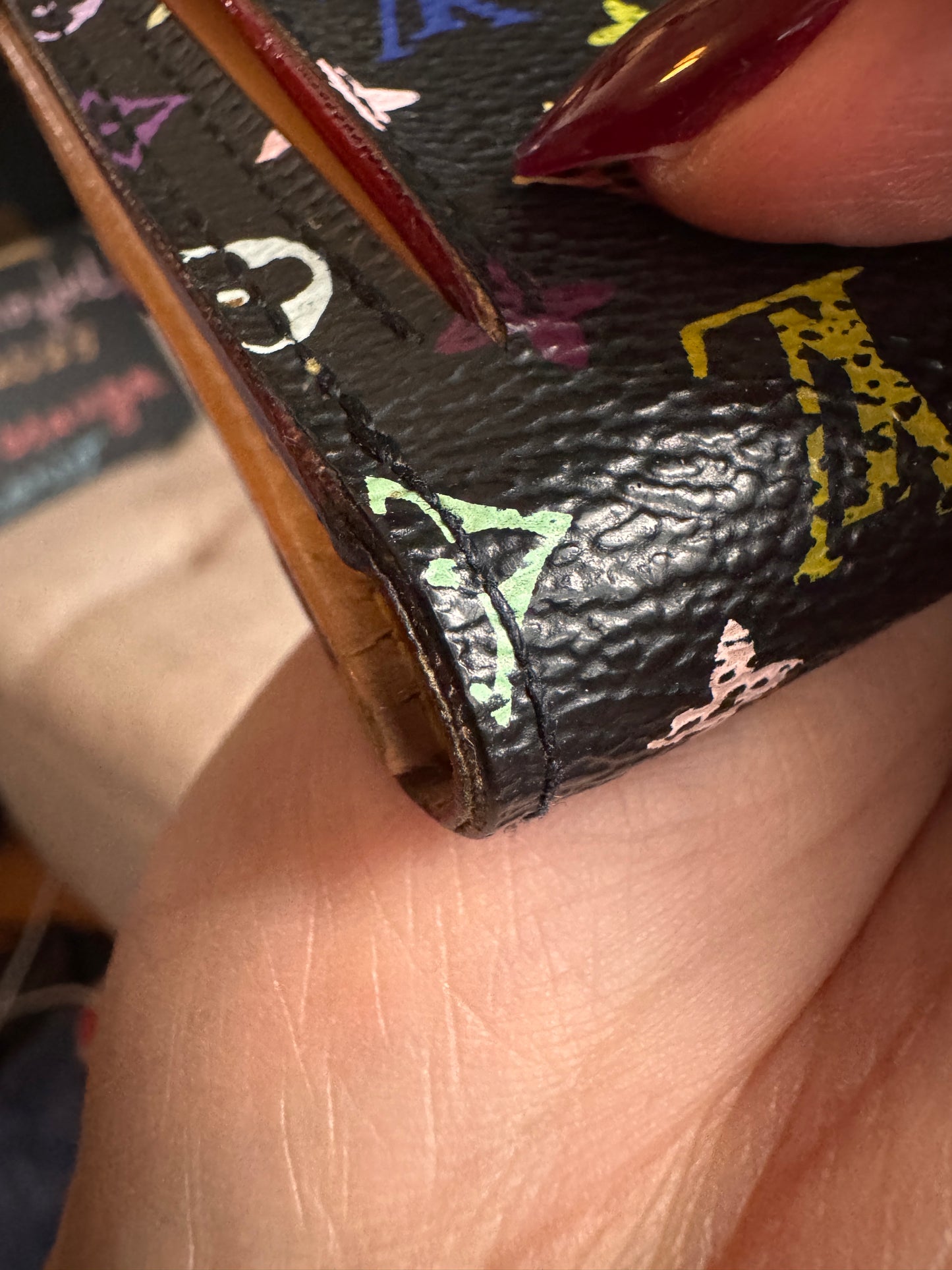 Louis Vuitton Multicolor Compact Wallet