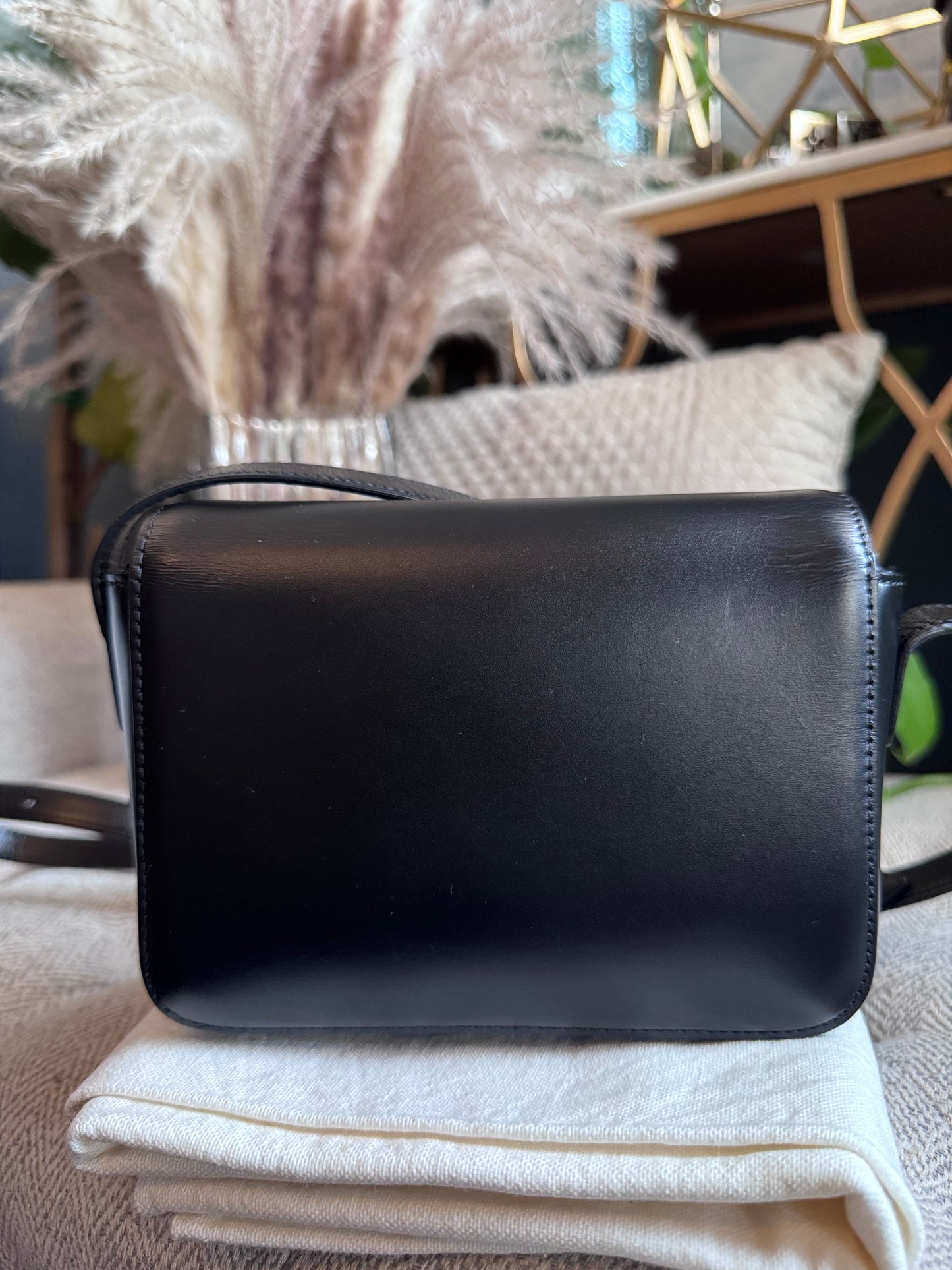 Celine Triomphe 16cm
