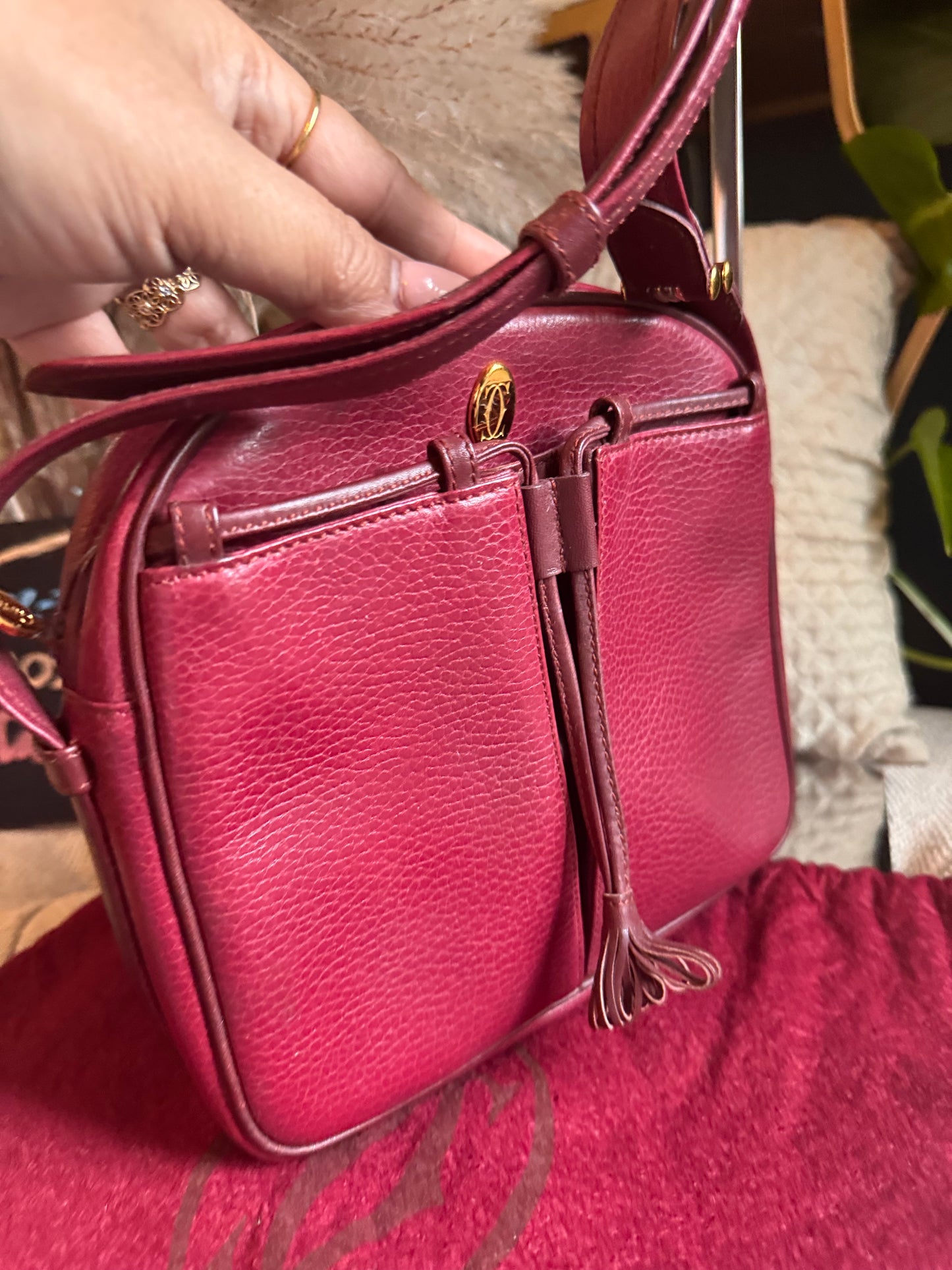 Cartier Vintage Camera Bag