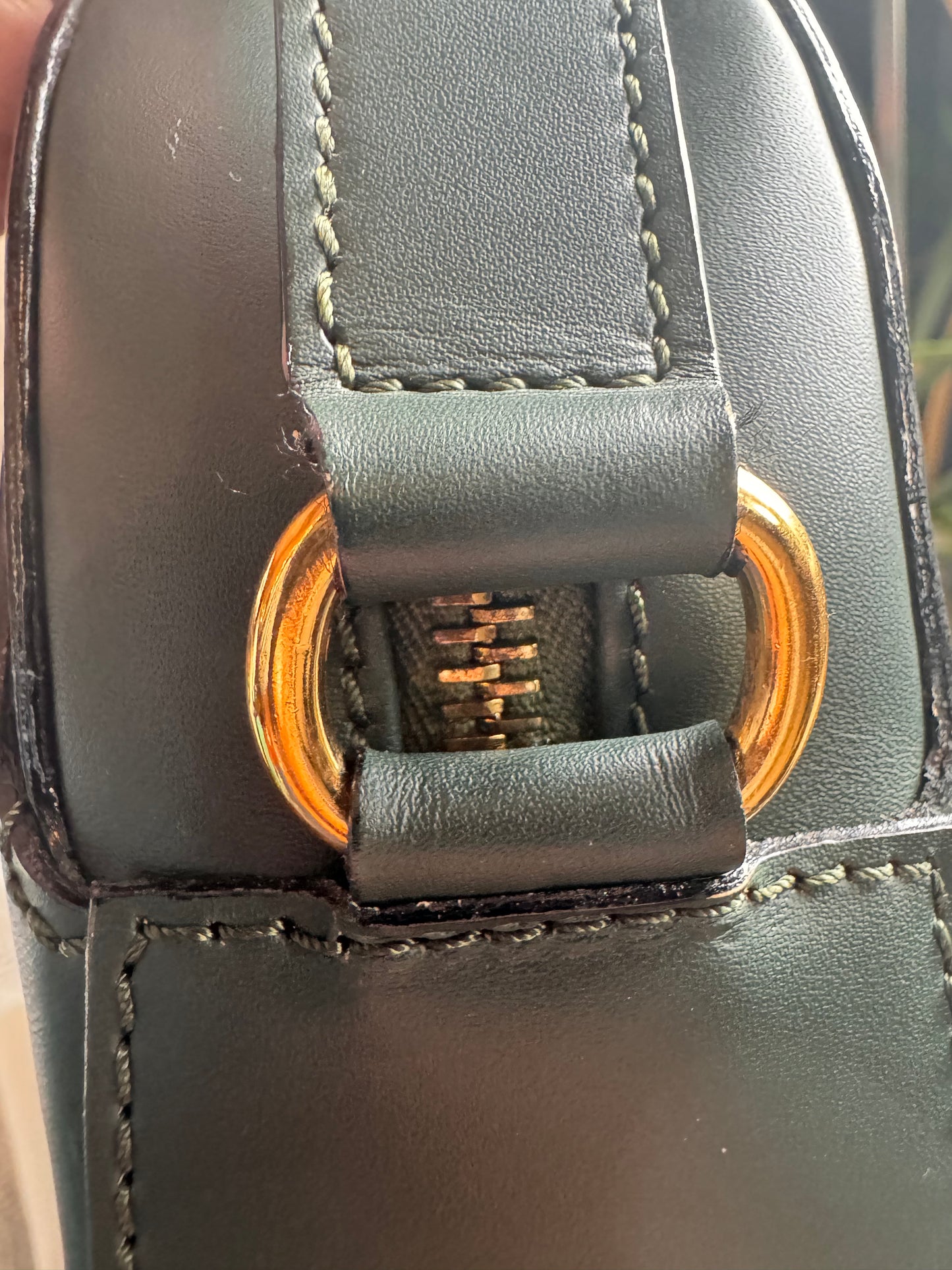 Celine Vintage Camera Bag in Amazone