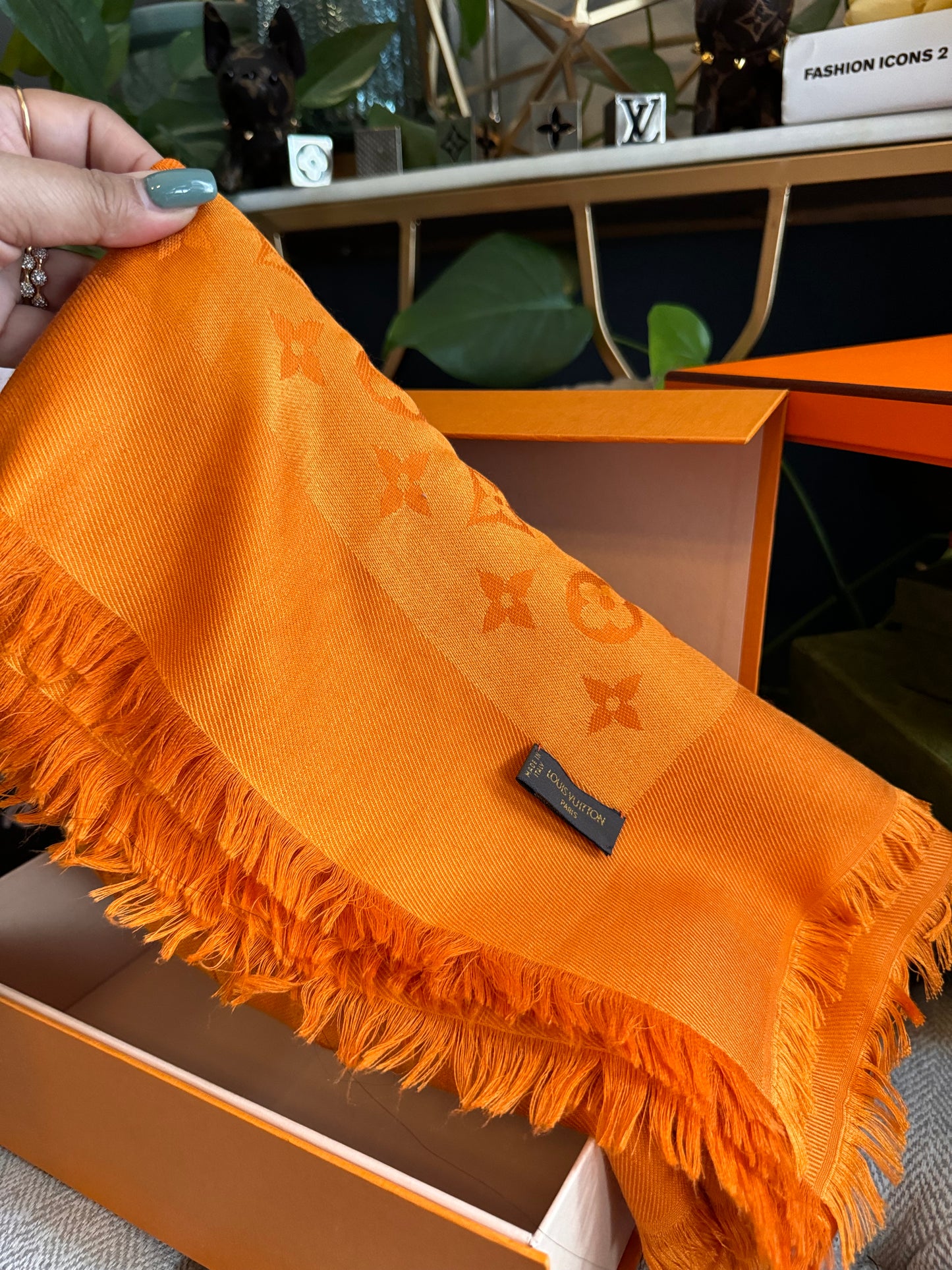 Louis Vuitton Monogram Stole