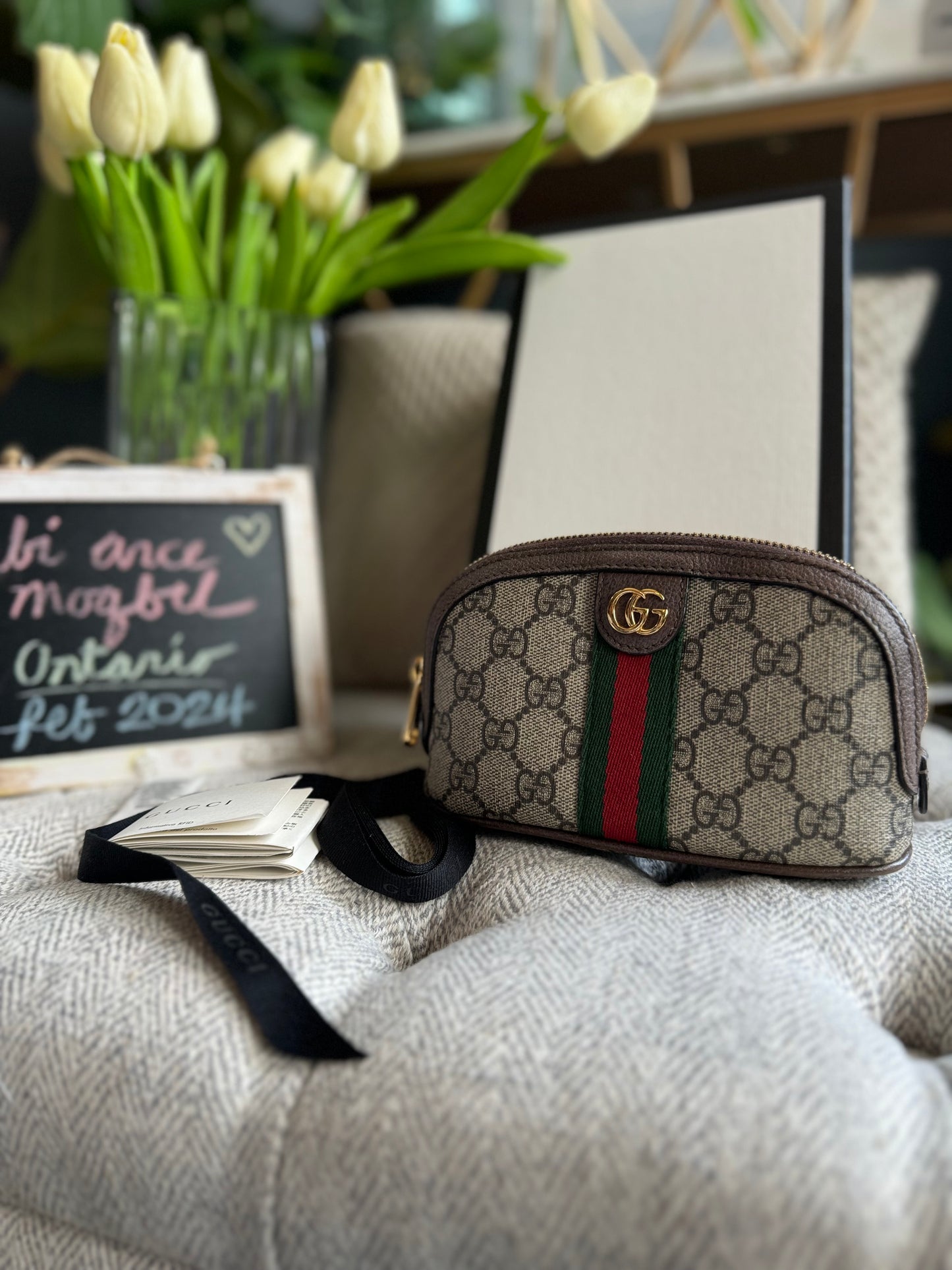 Gucci Ophidia Small Cosmetic Pouch