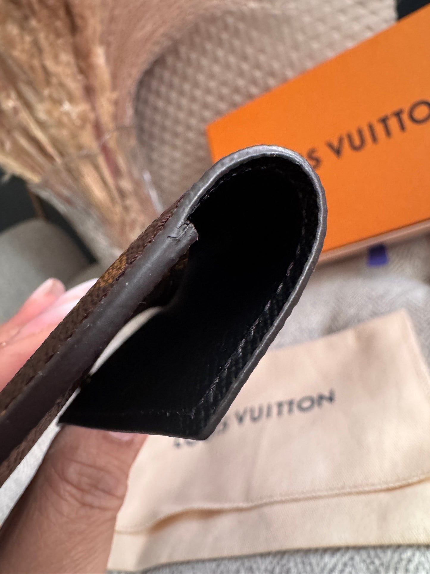 Louis Vuitton Envelope pouch/cardholder