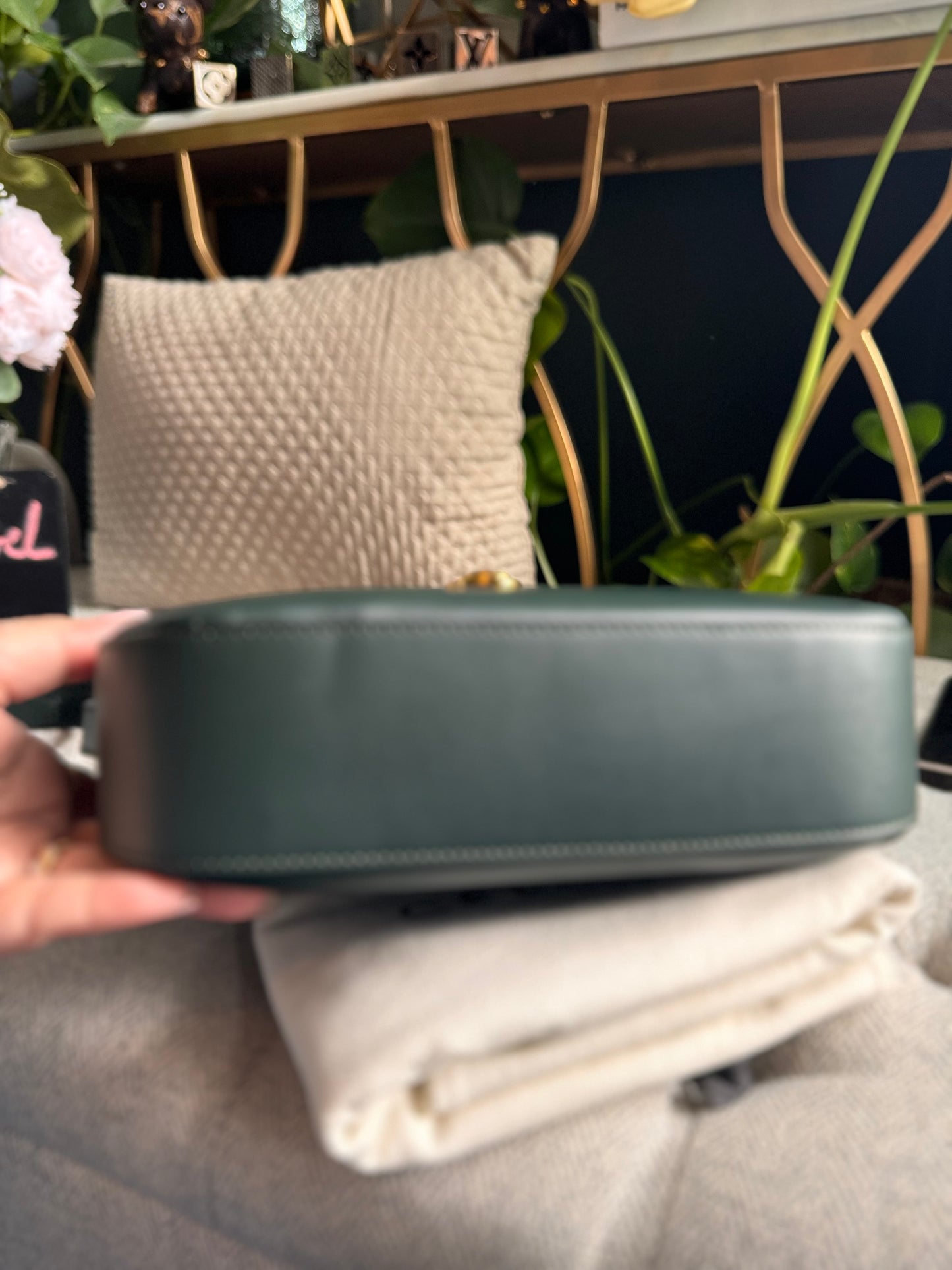 Celine Vintage Camera Bag in Amazone