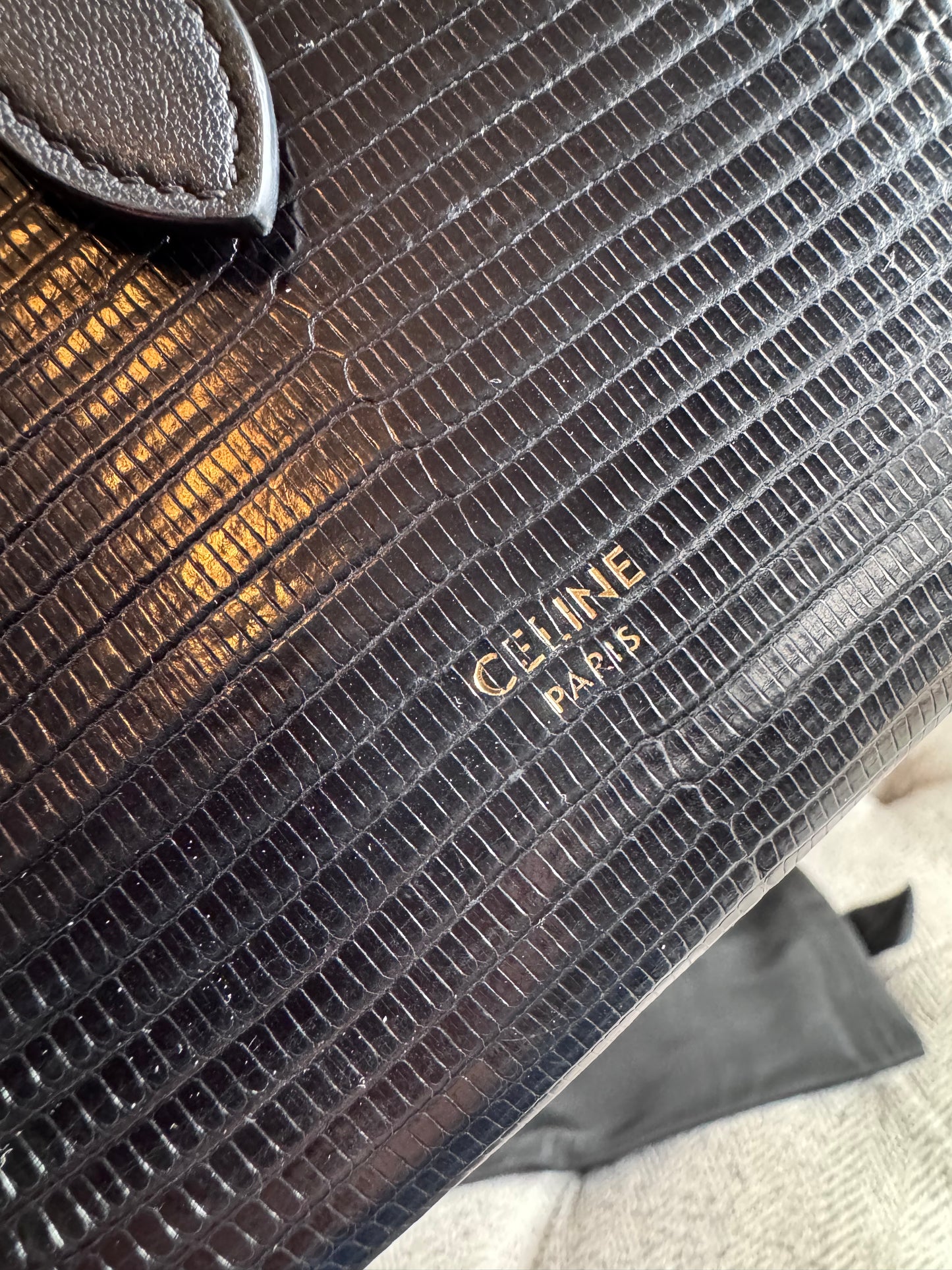 CELINE Large Wallet in Lizard Embossed Calfskin